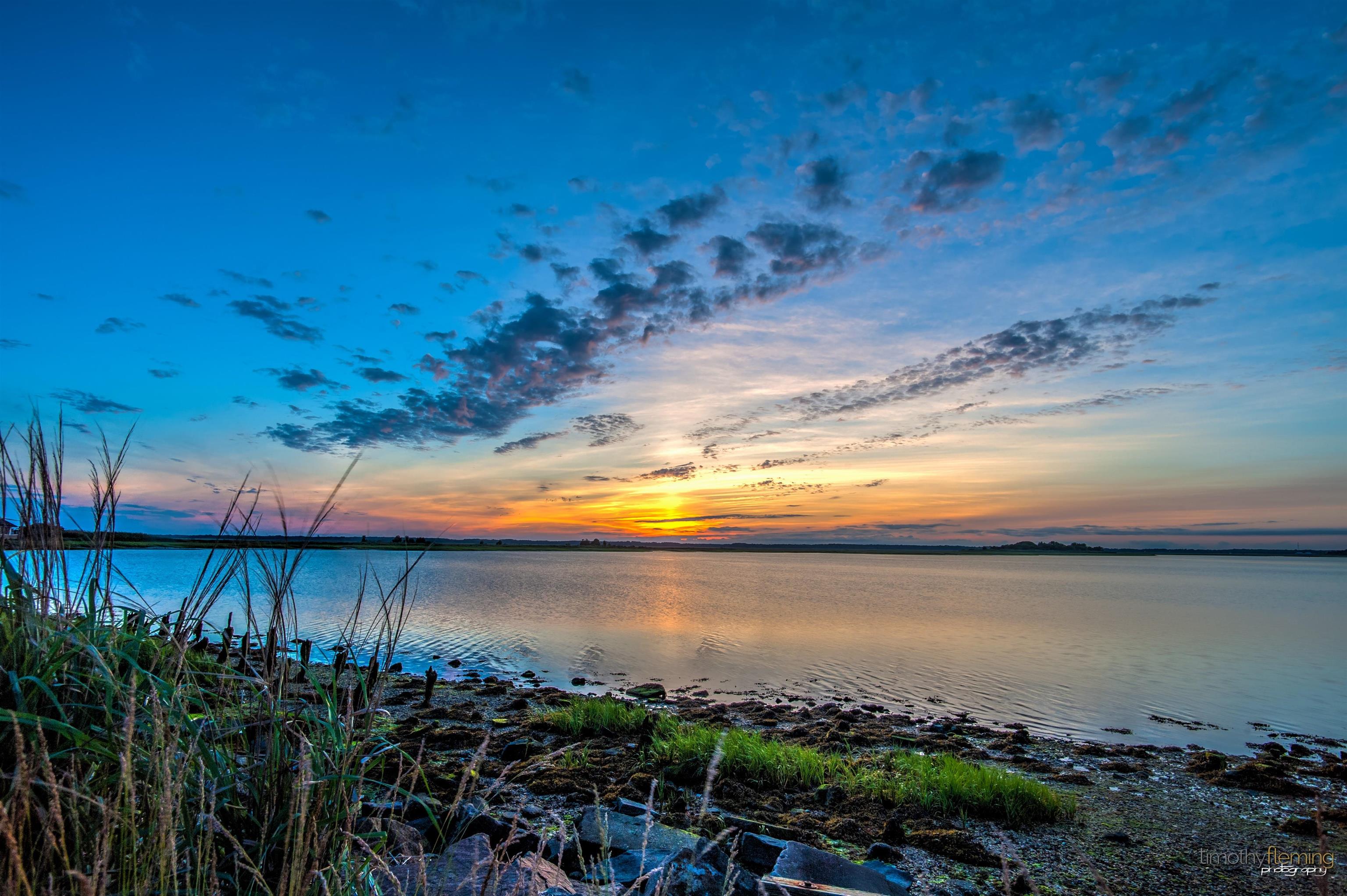 8401 Atlantic Avenue - Picture 37