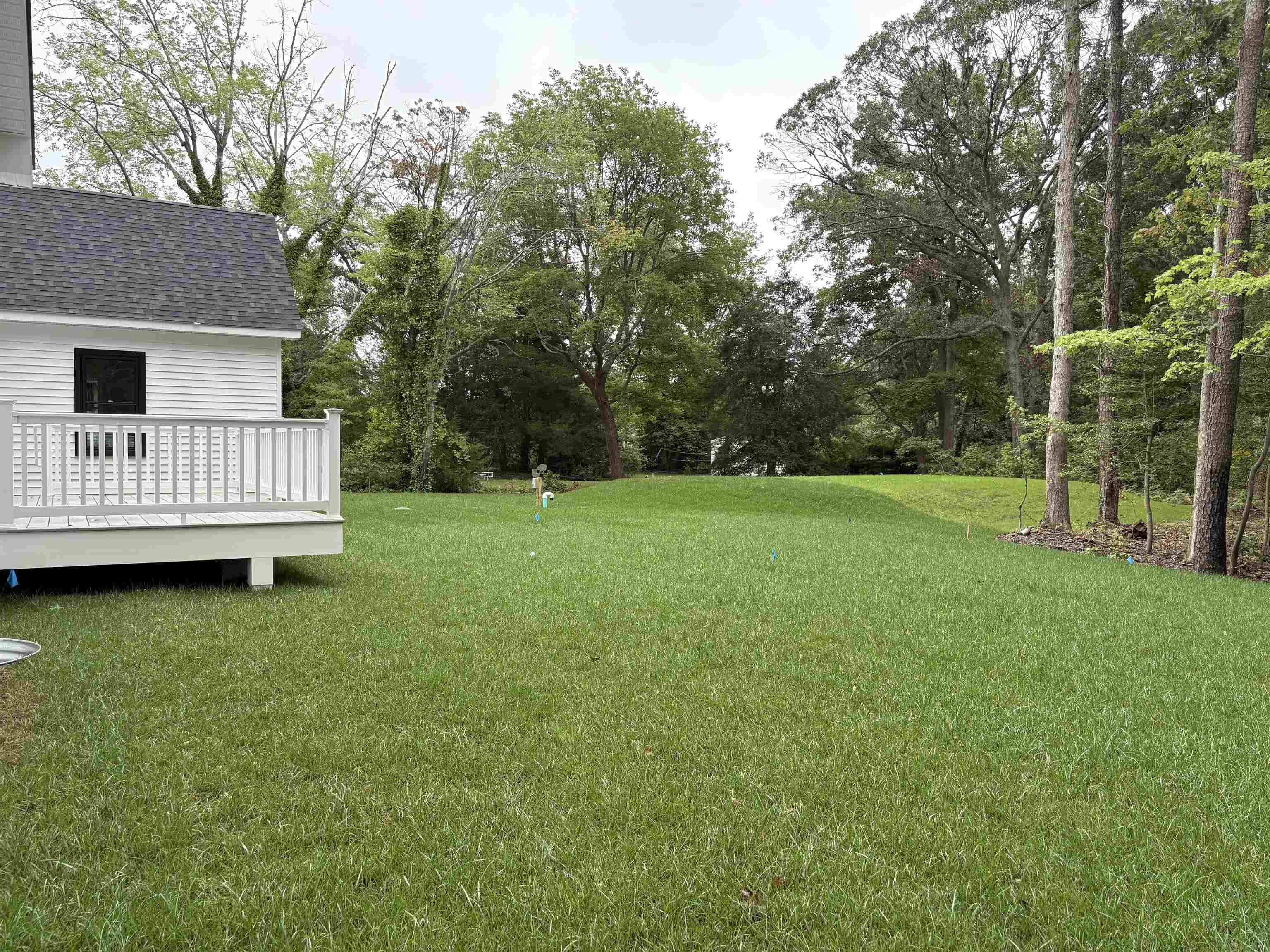 445 Dias Creek Road - Picture 3