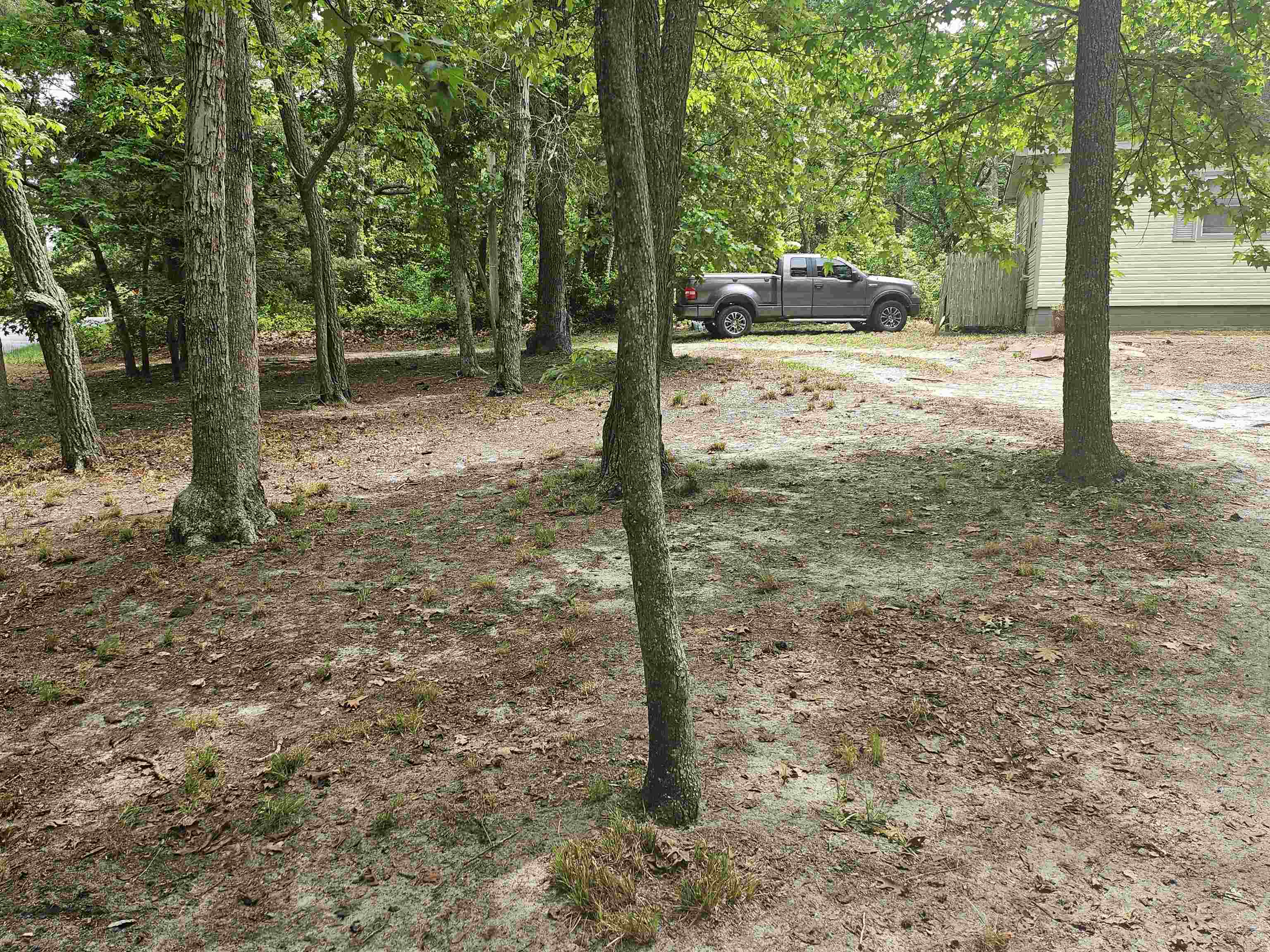 119 Hagen Road - Picture 4