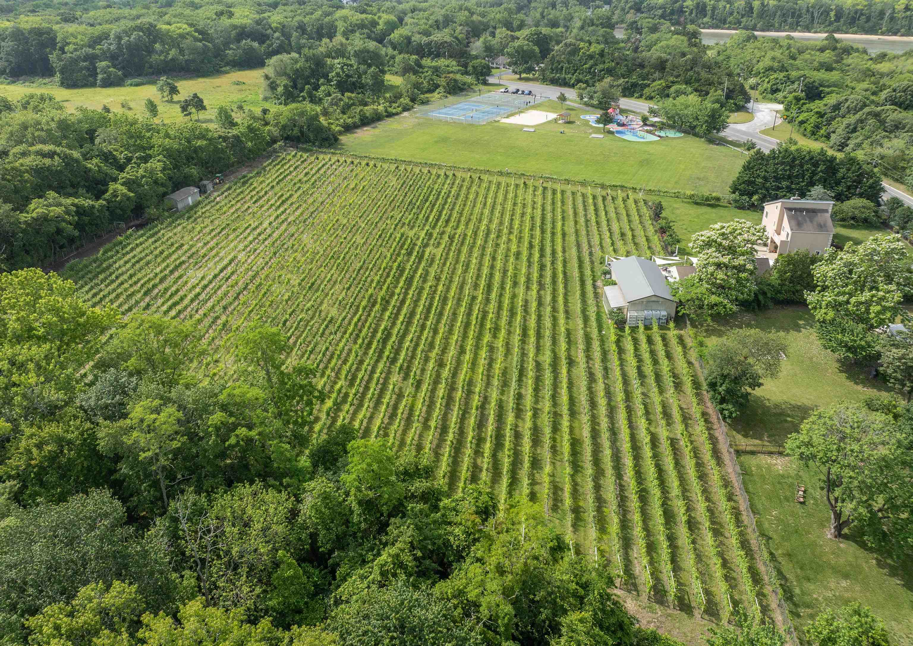 3911 Bayshore Road - Picture 4