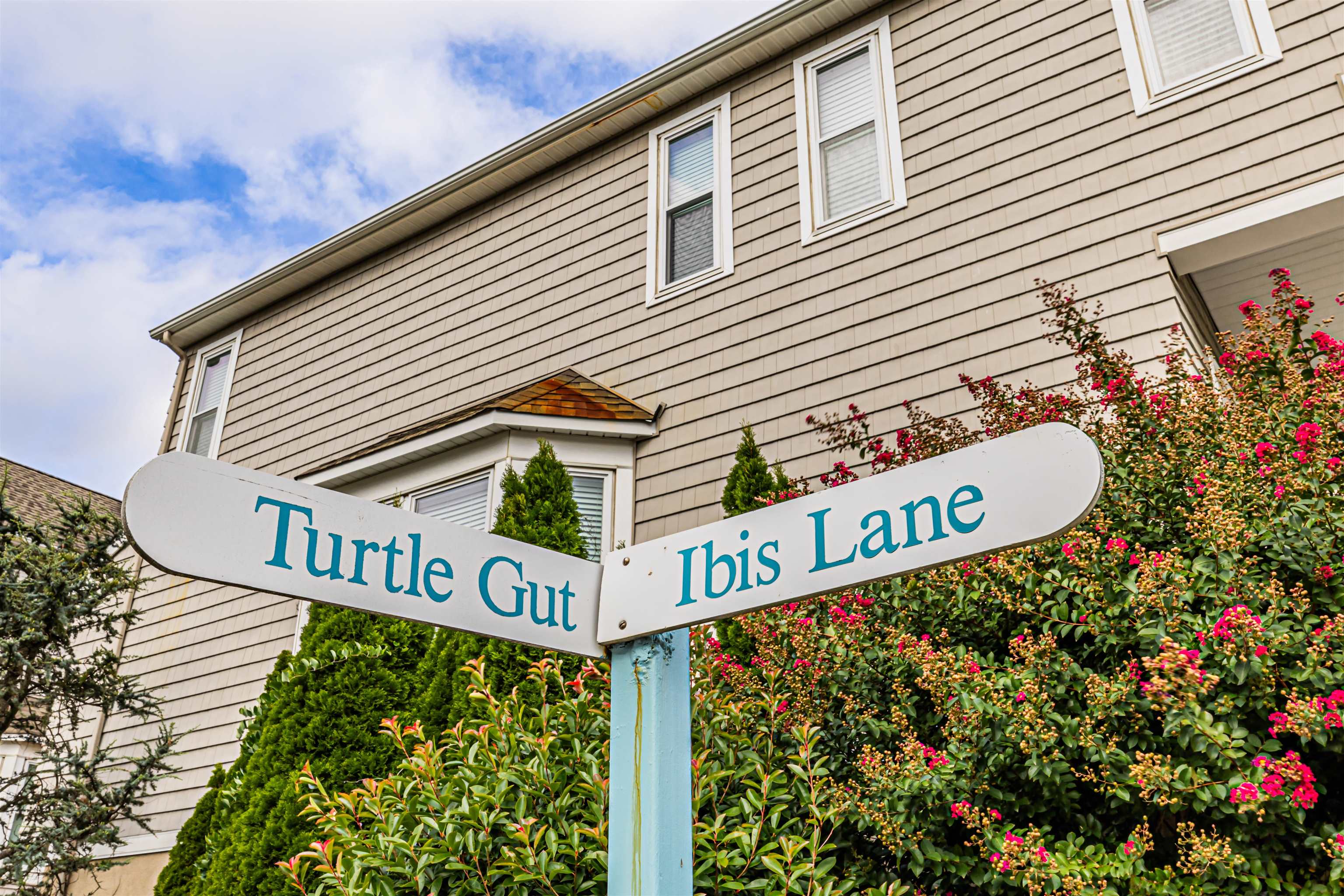 524 Turtle Gut Circle