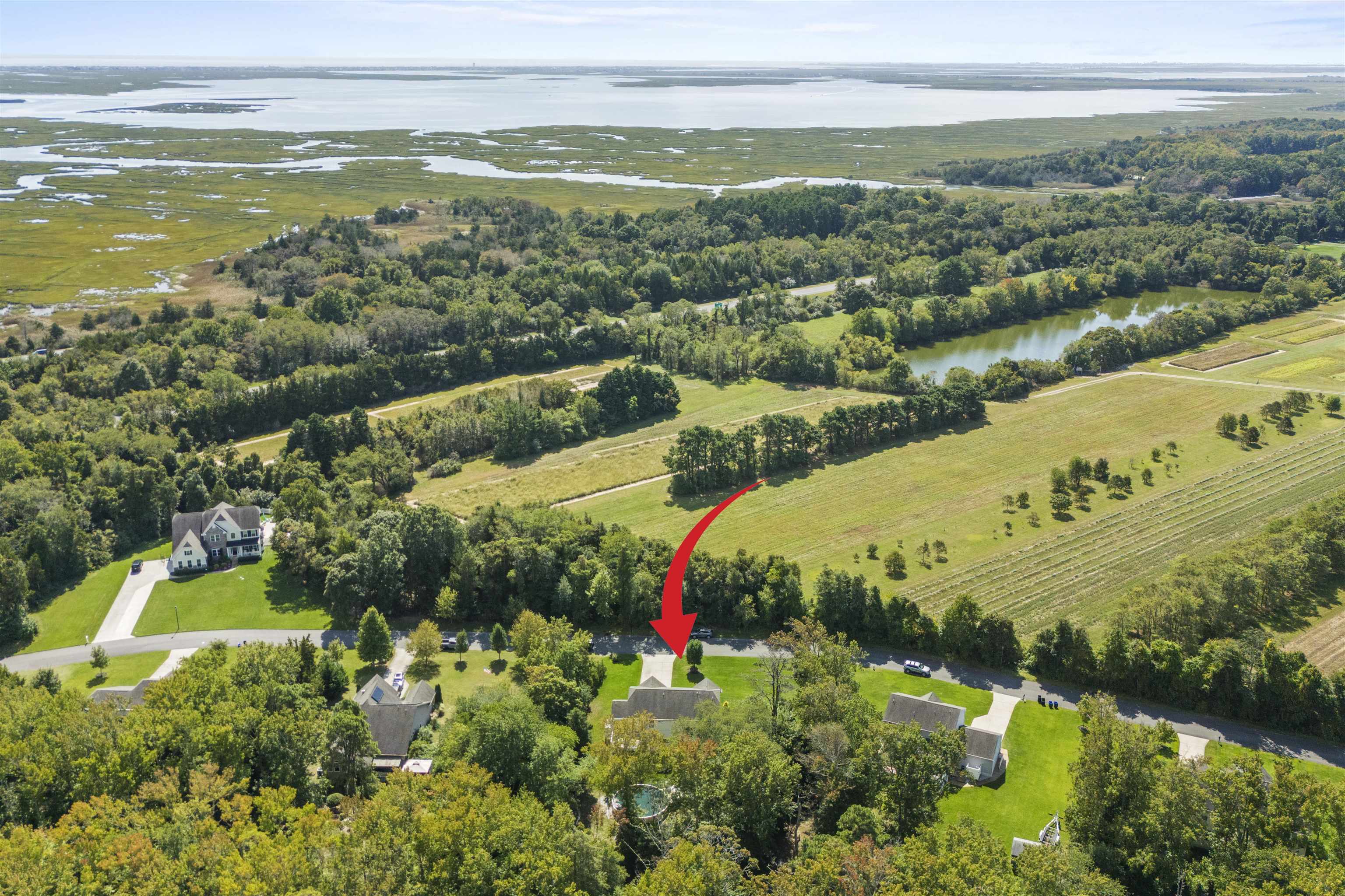 24 Seagrove Avenue - Picture 48