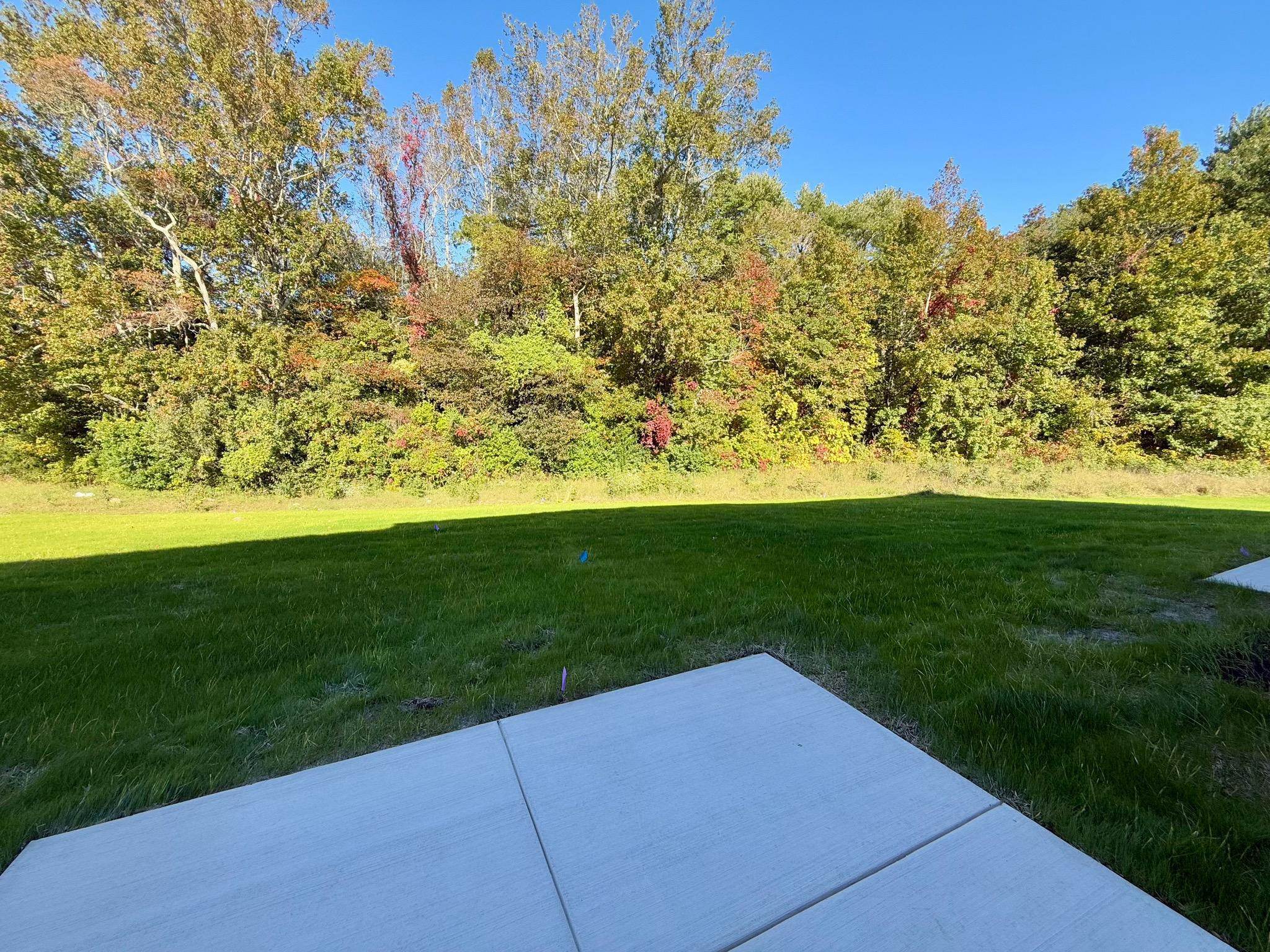 12 Scotty Boulevard - Picture 5