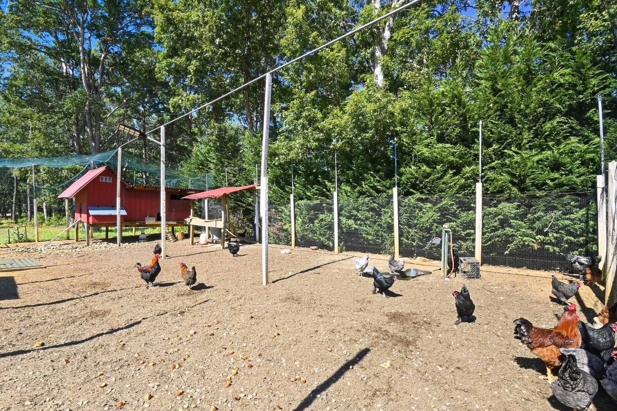 734 Stagecoach Road - Picture 26