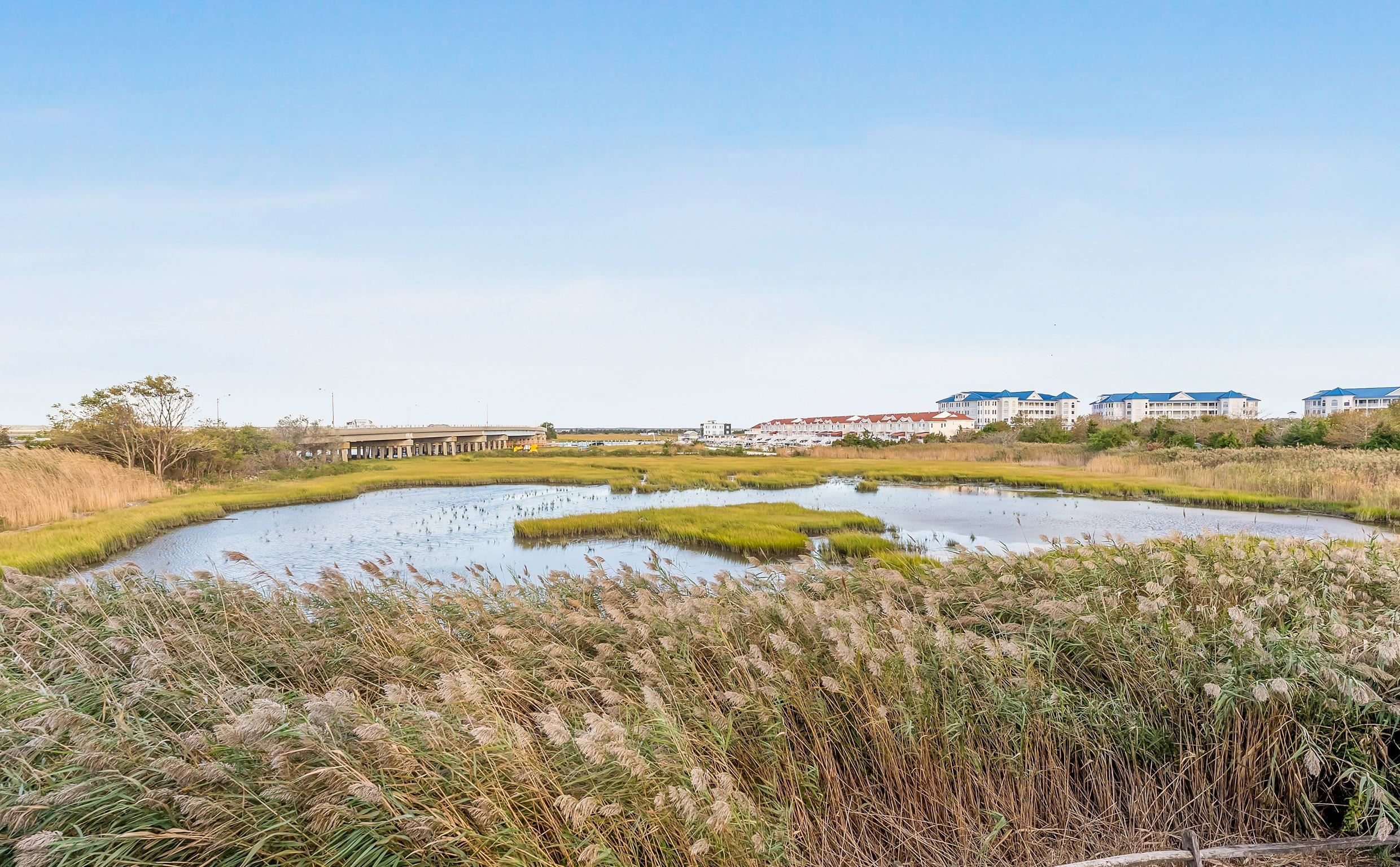 406 Illinois Avenue - Picture 46