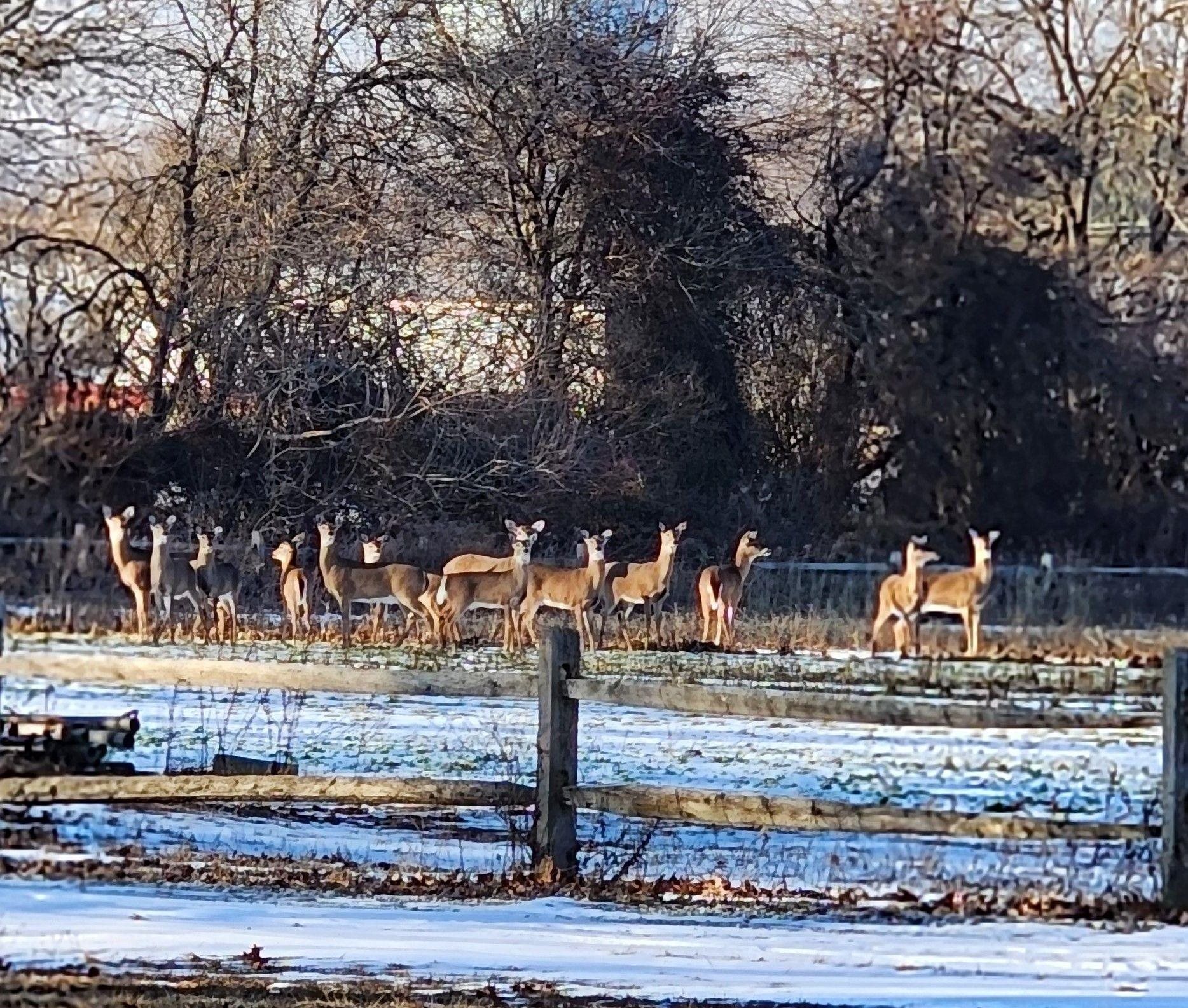 2769 Dante Avenue - Picture 13