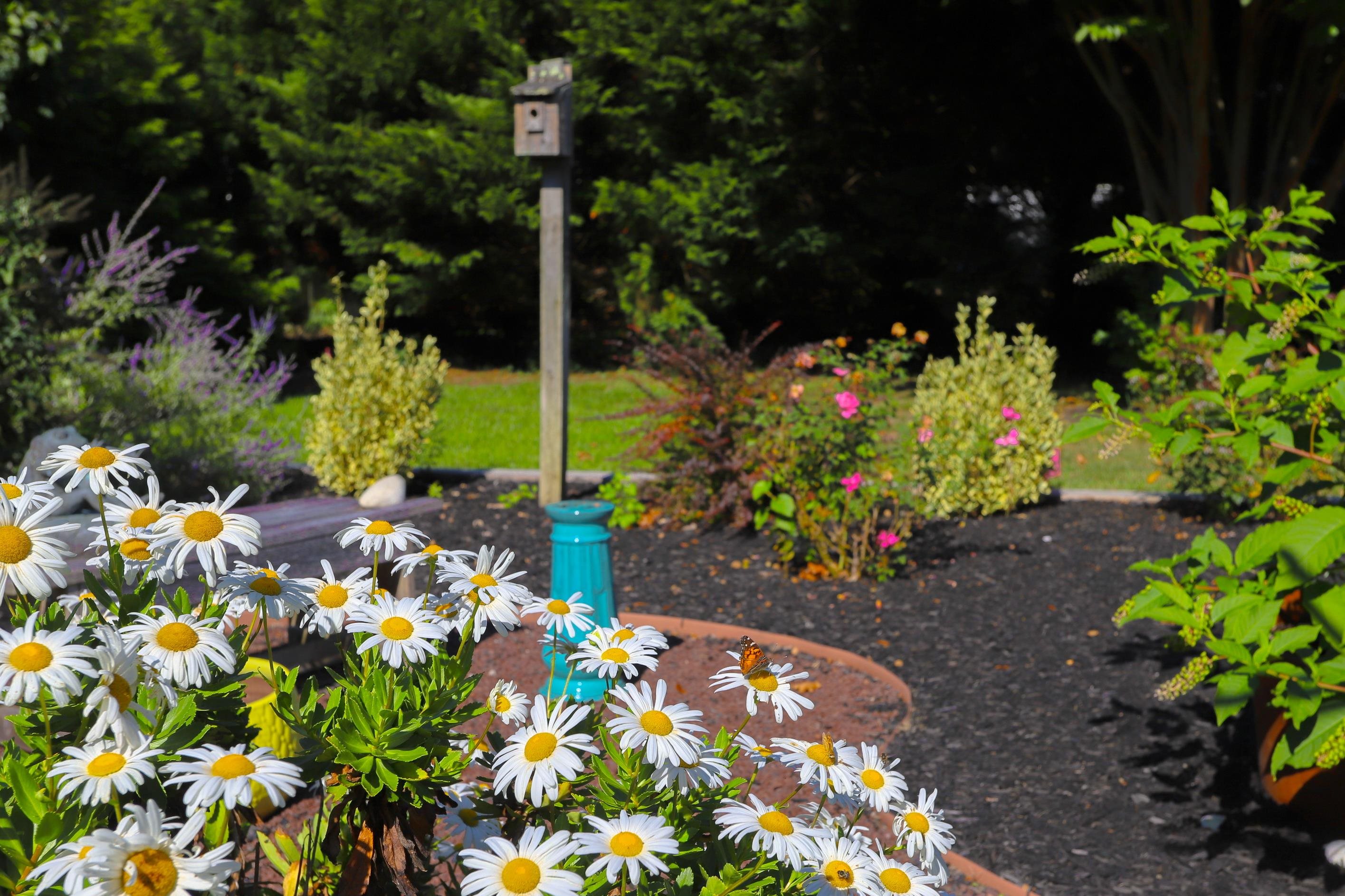 215 S Boyd Street - Picture 38