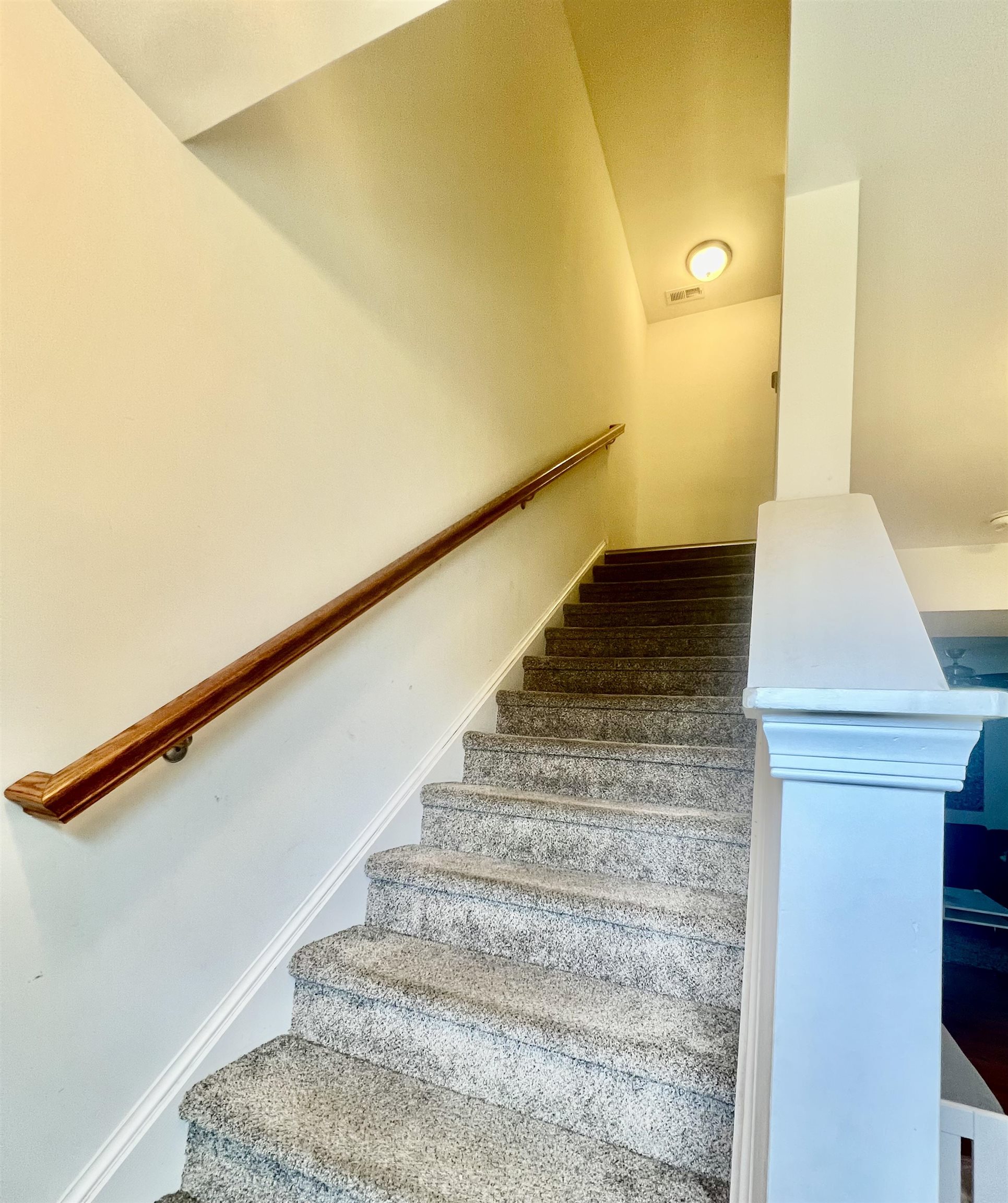 2 Sand Dollar Drive - Picture 17