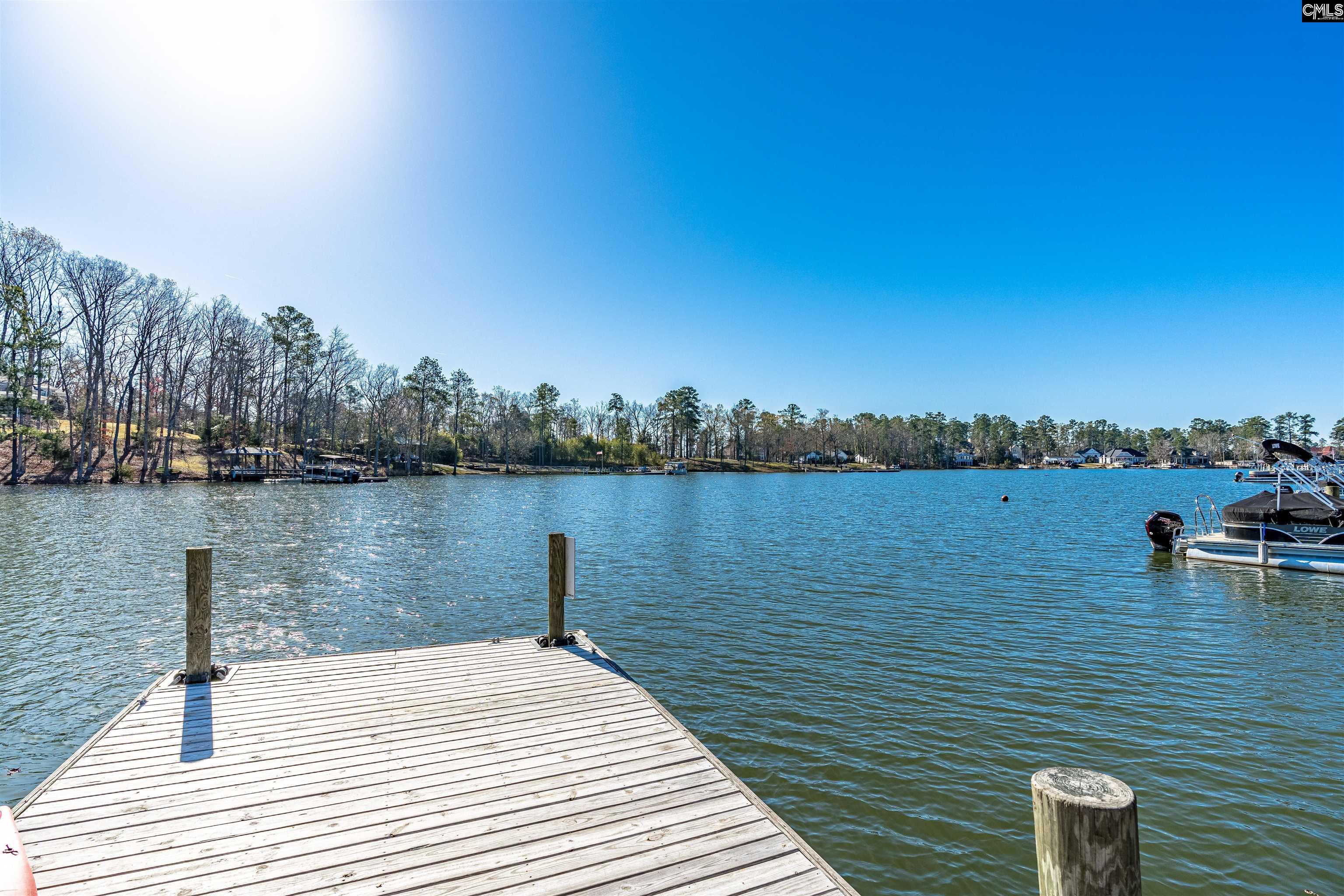 2030 Ludlow Place, Chapin, SC 29036 Listing Photo 60