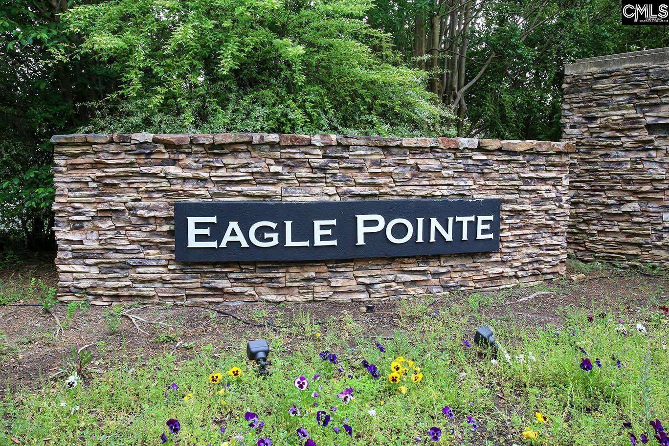 104 Eagle Pointe Drive, Chapin, SC 29036 Listing Photo 37