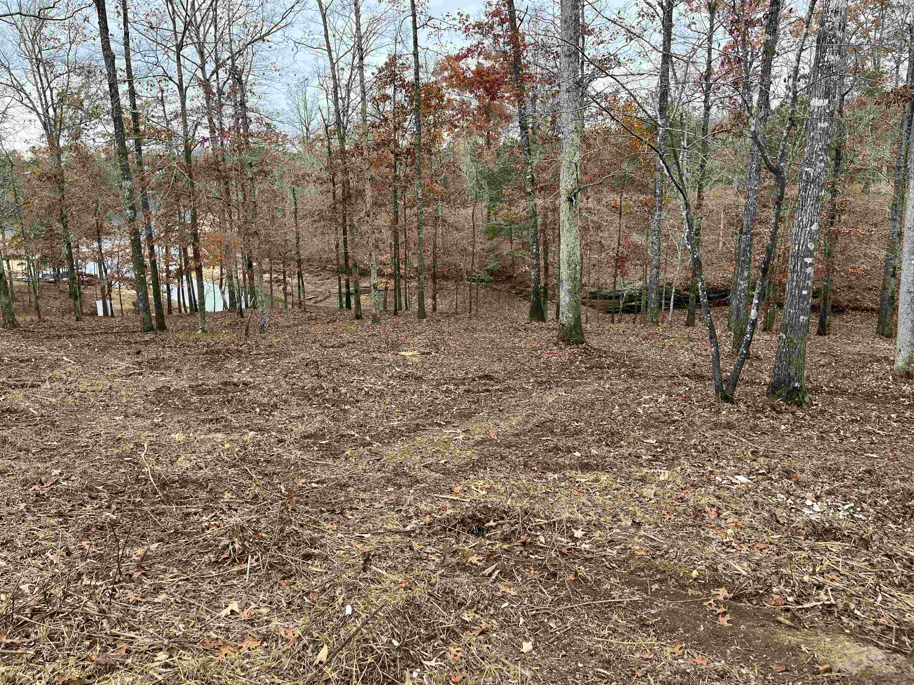 Lot 22/22A Edgewater Bend Rd, Double Springs, AL 35553