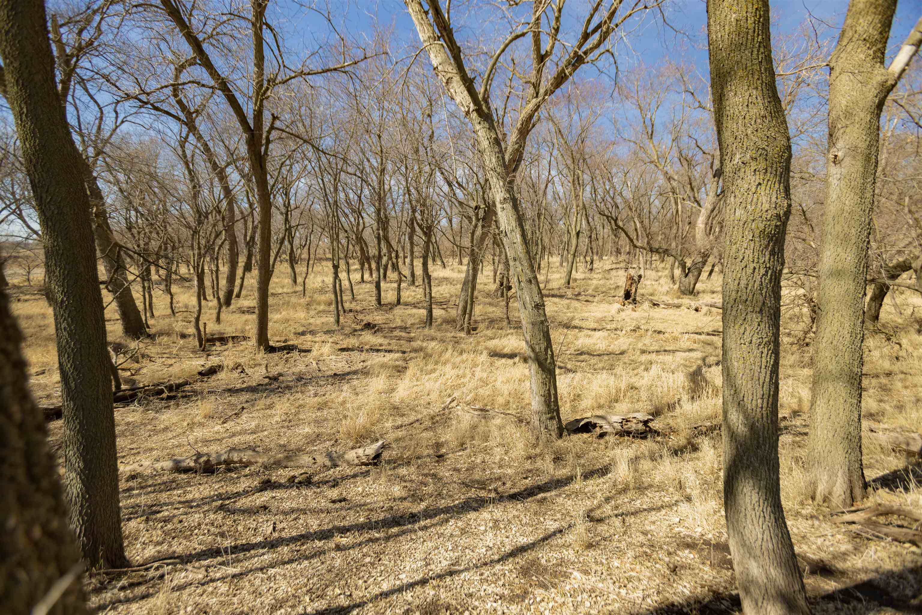 County Road 2350 , Wilber, NE 68465 (MLS20230212) Nebraska Realty