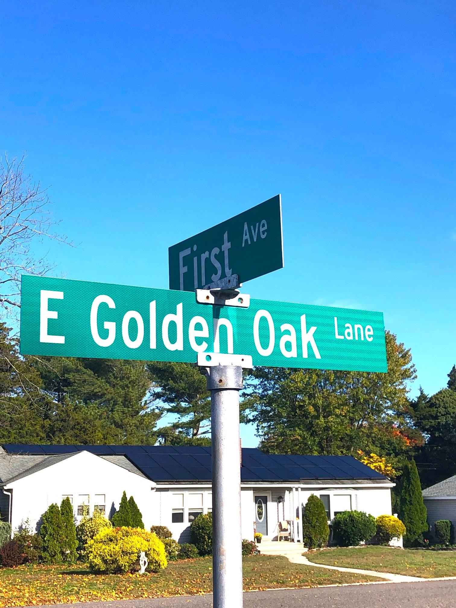 17 E Golden Oak Lane  - Picture 14
