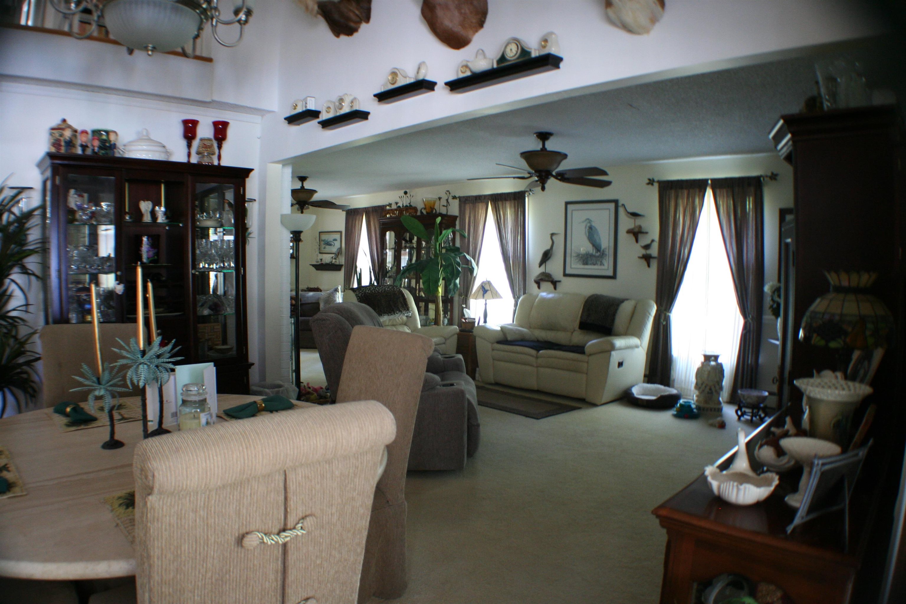  - Picture 17