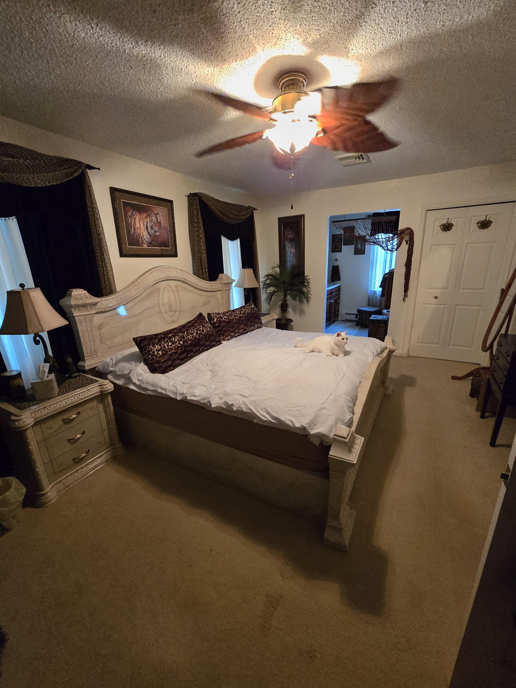  - Picture 18