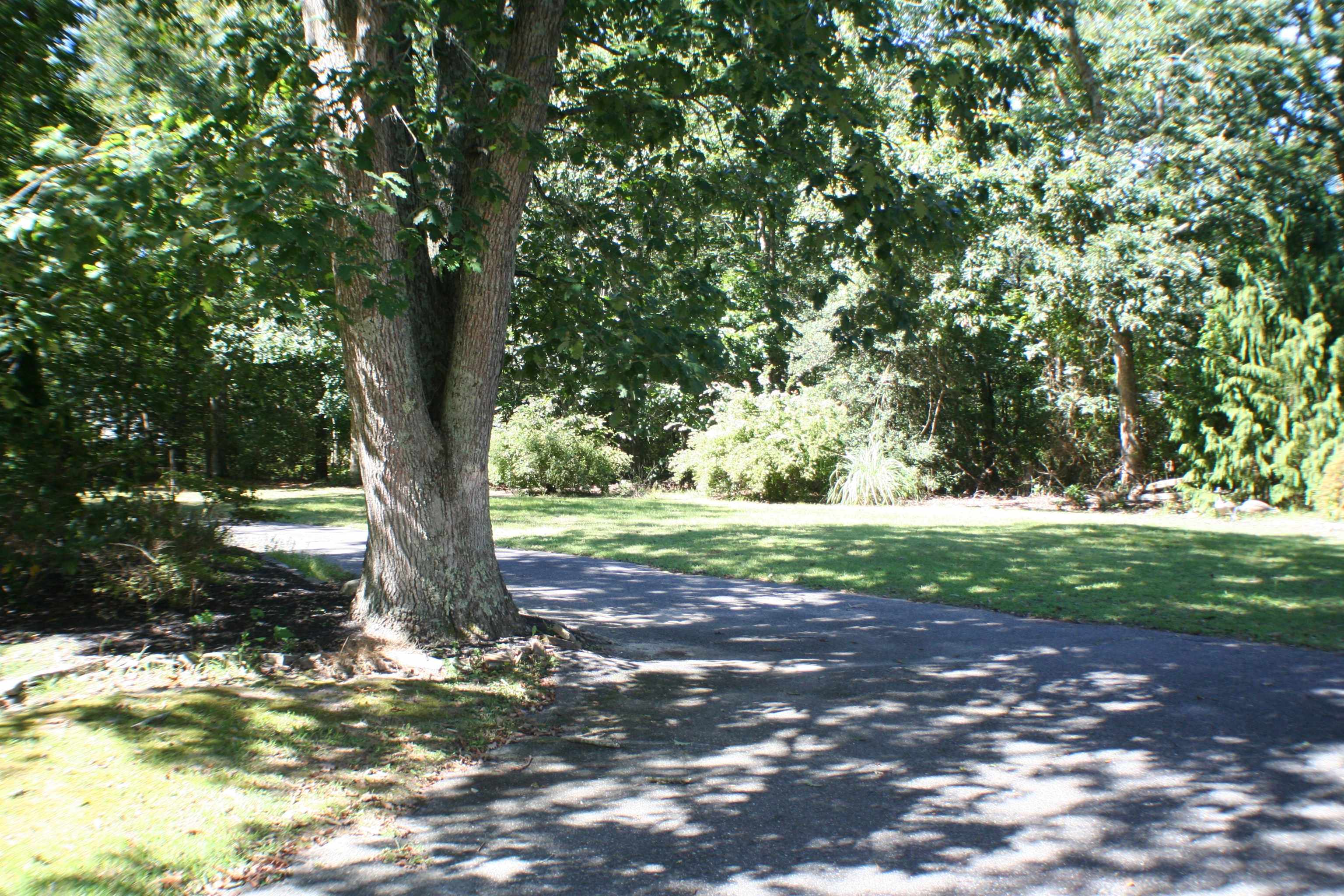  - Picture 22
