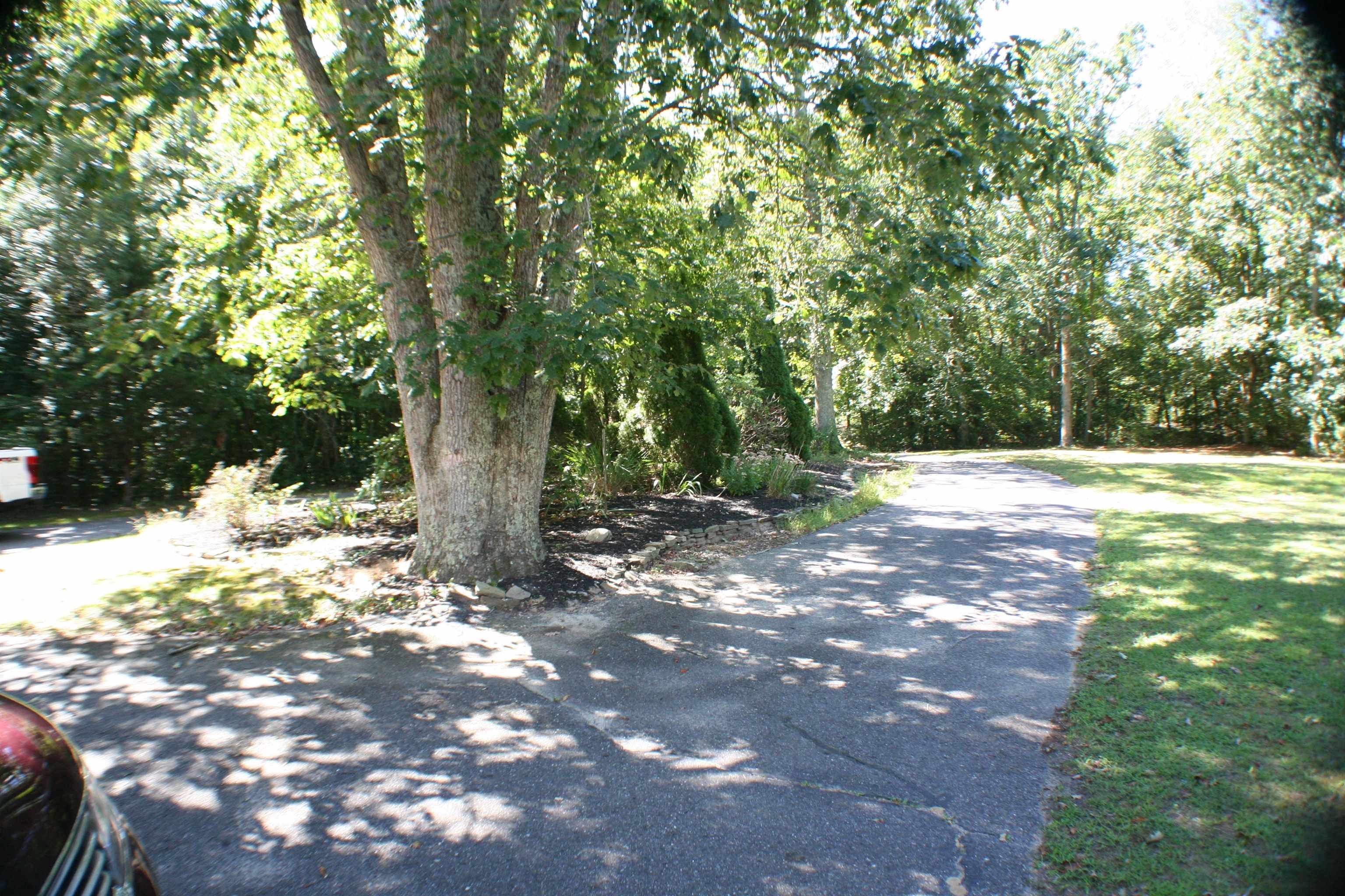  - Picture 23