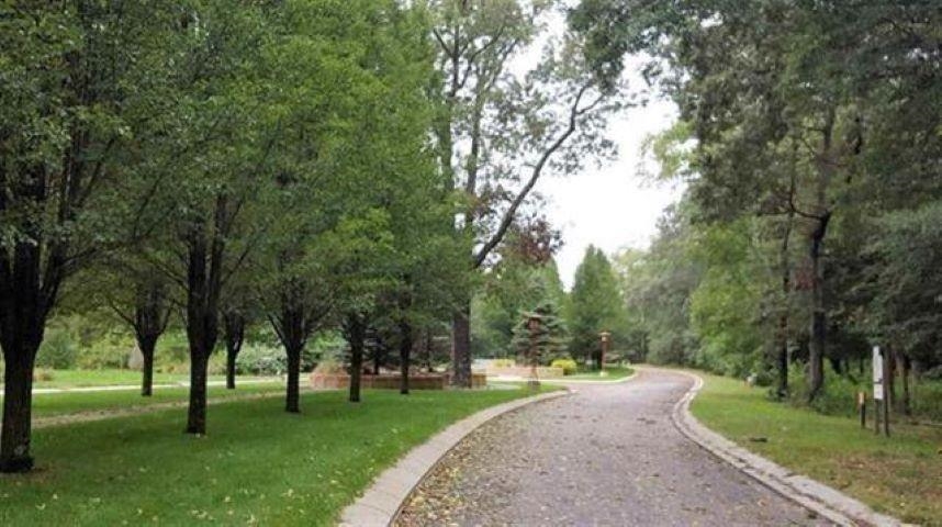  - Picture 11