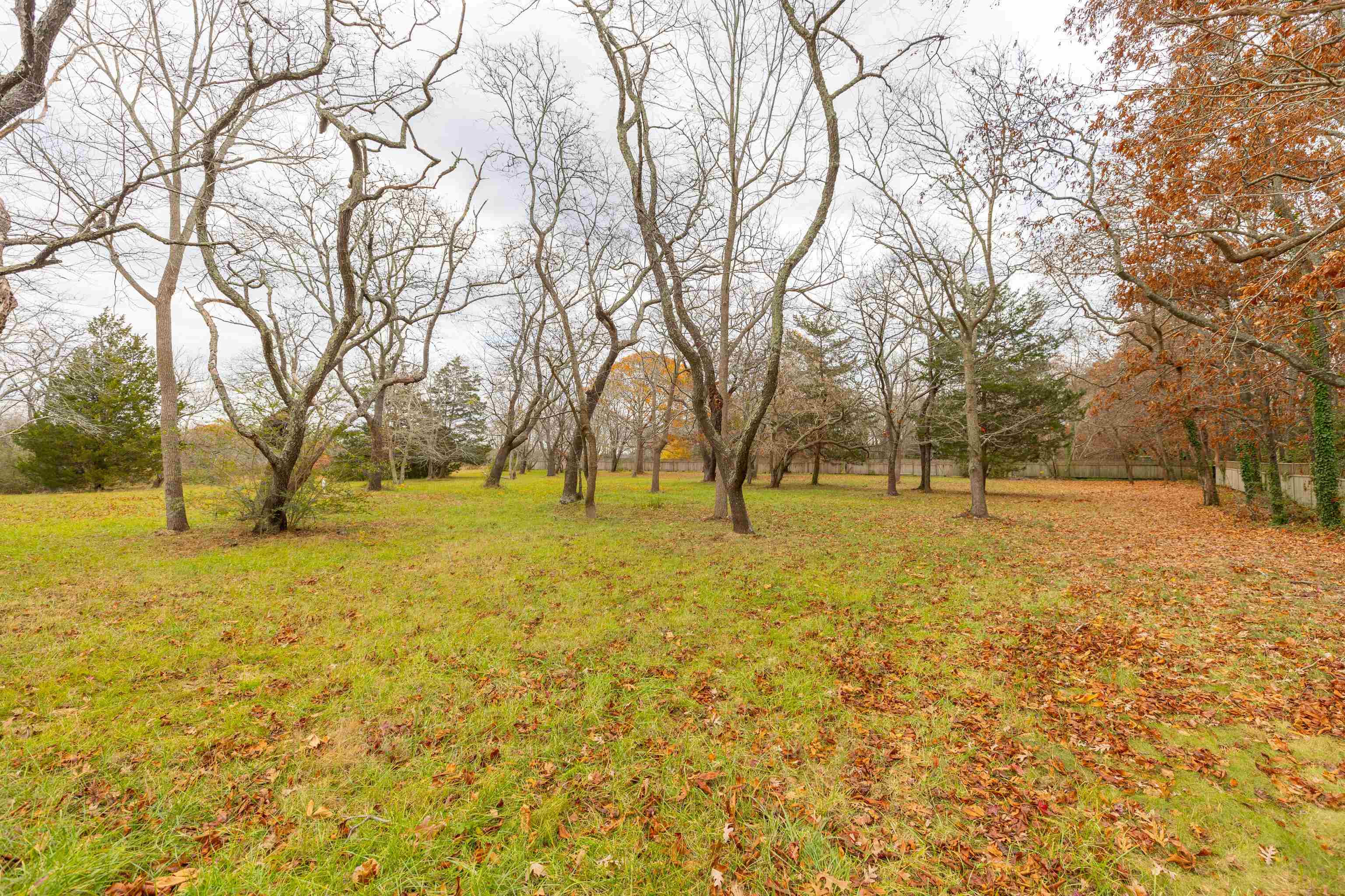 3941 Bayshore Road
