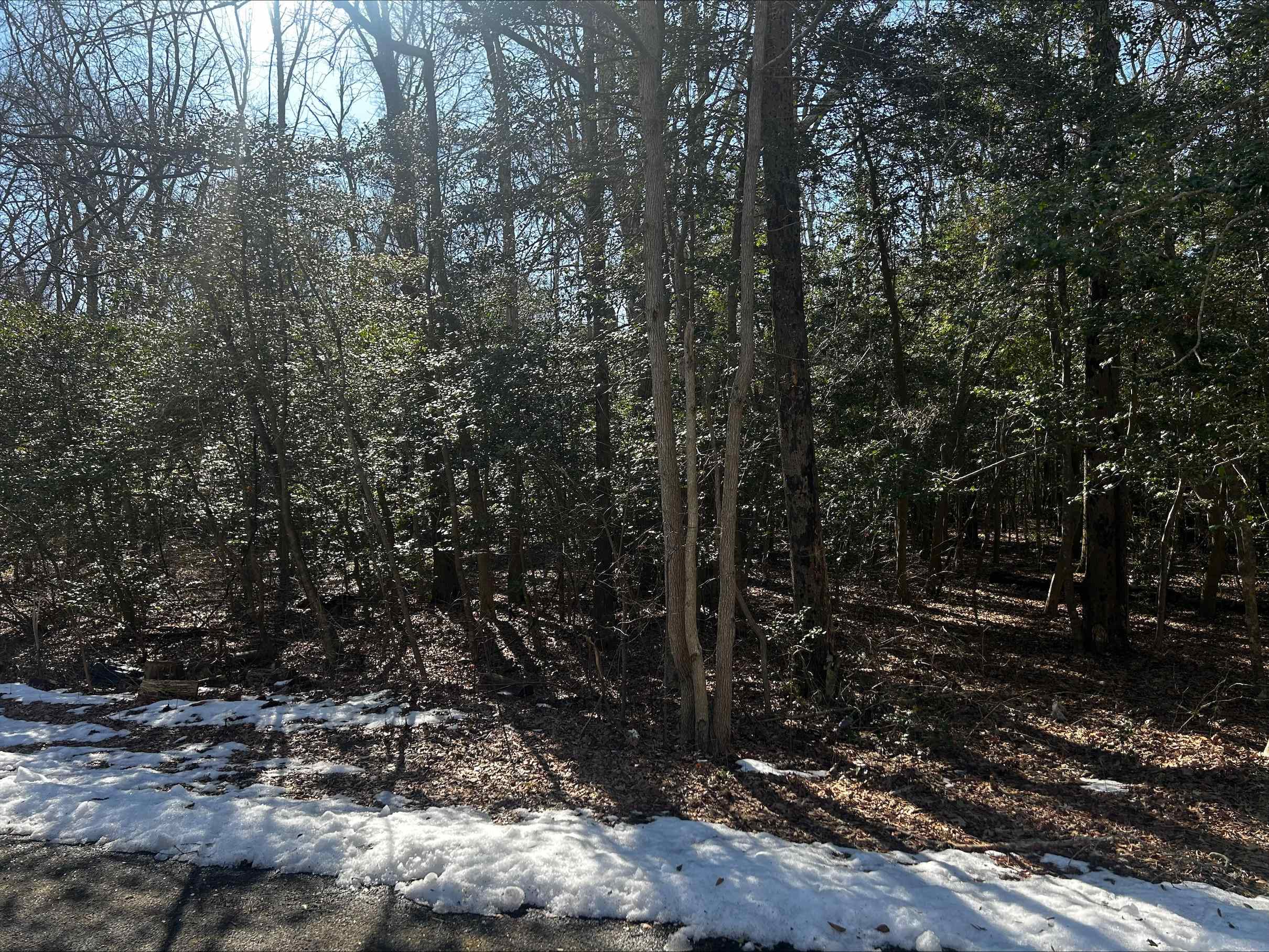 211 E Lena Street - Picture 2