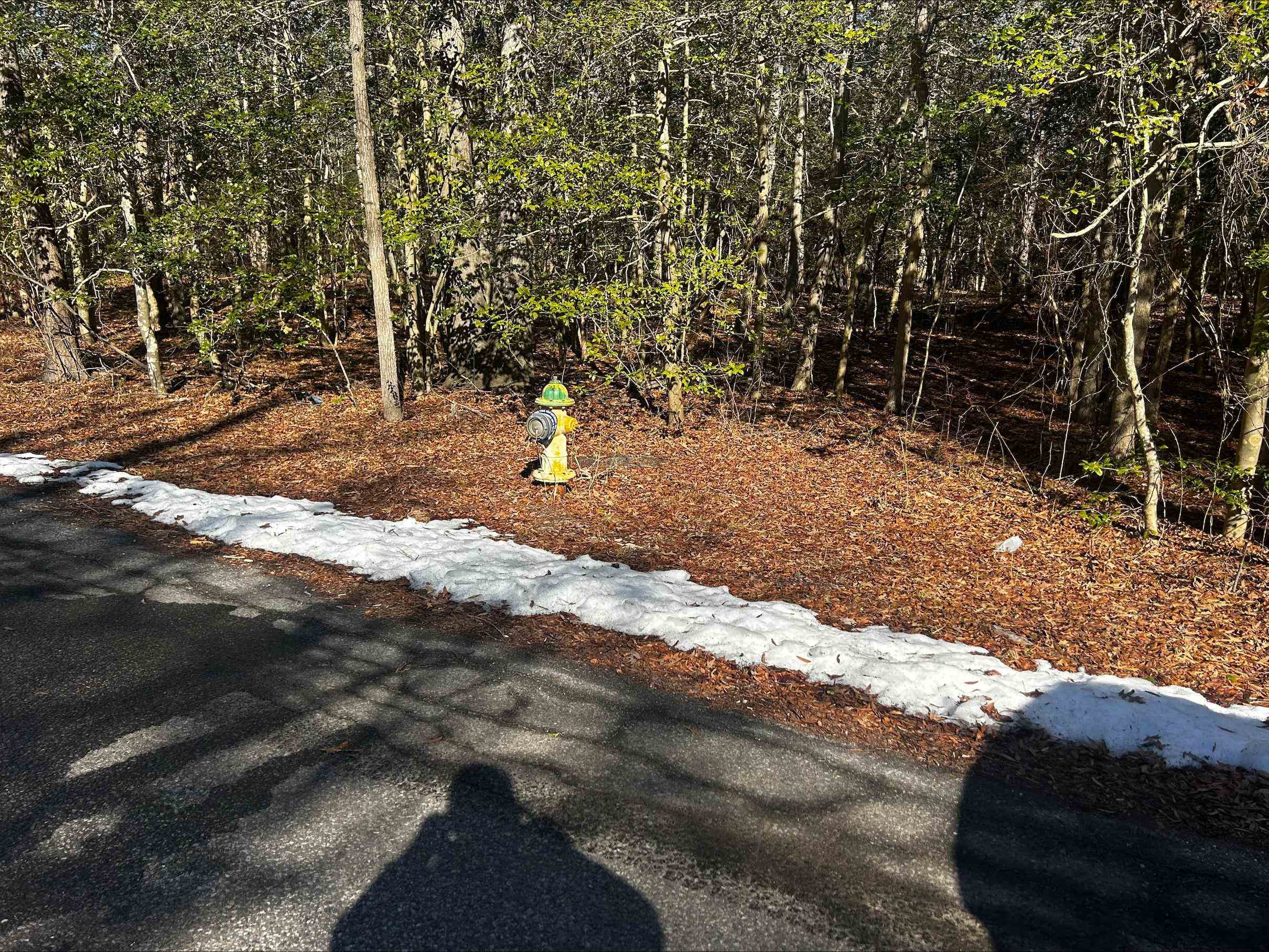 211 E Lena Street - Picture 4