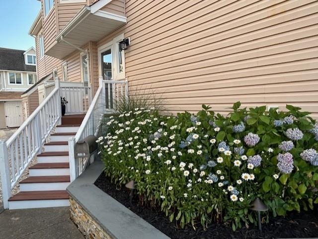 pic2