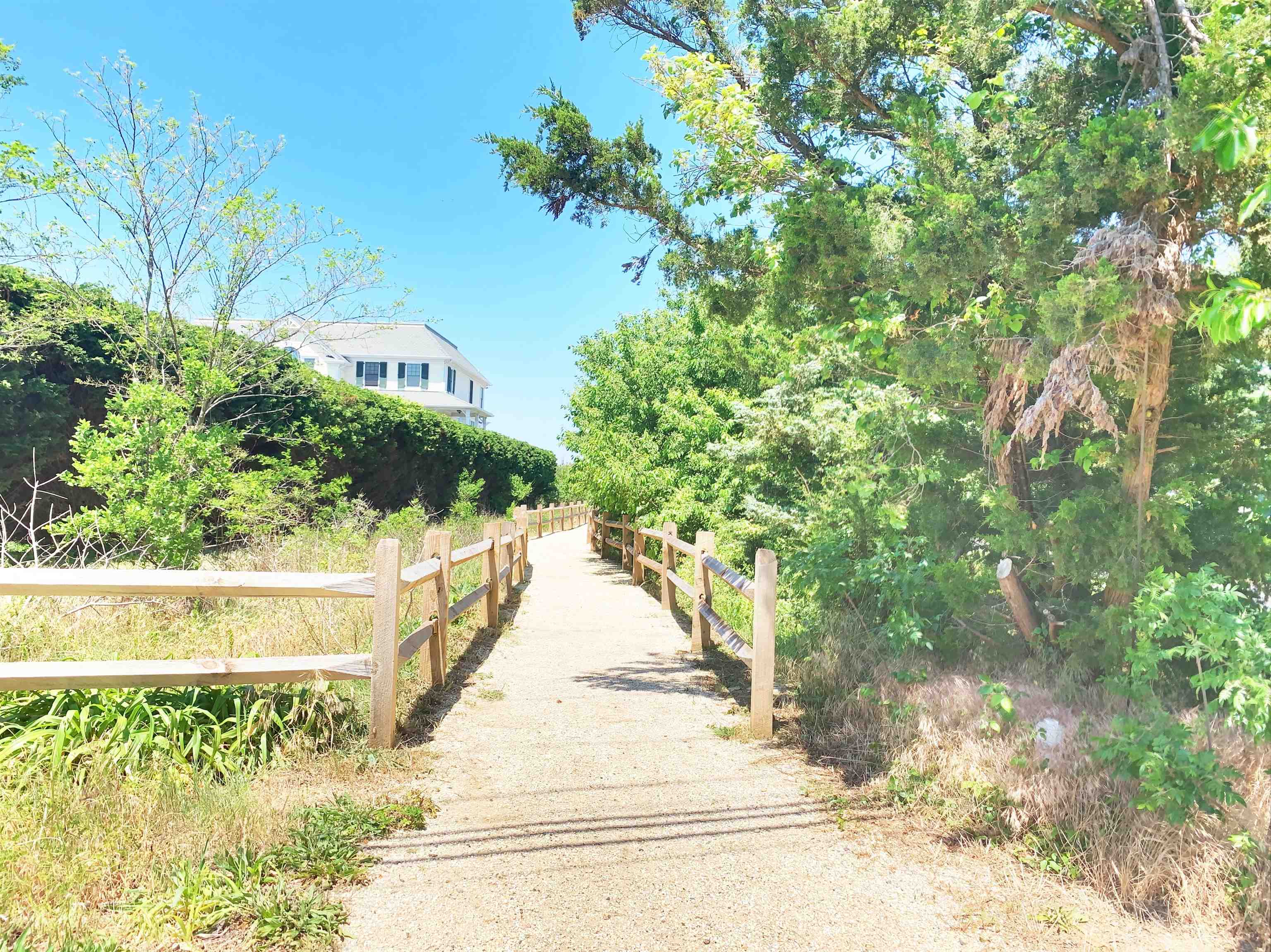 101 Whitman Lane - Picture 16