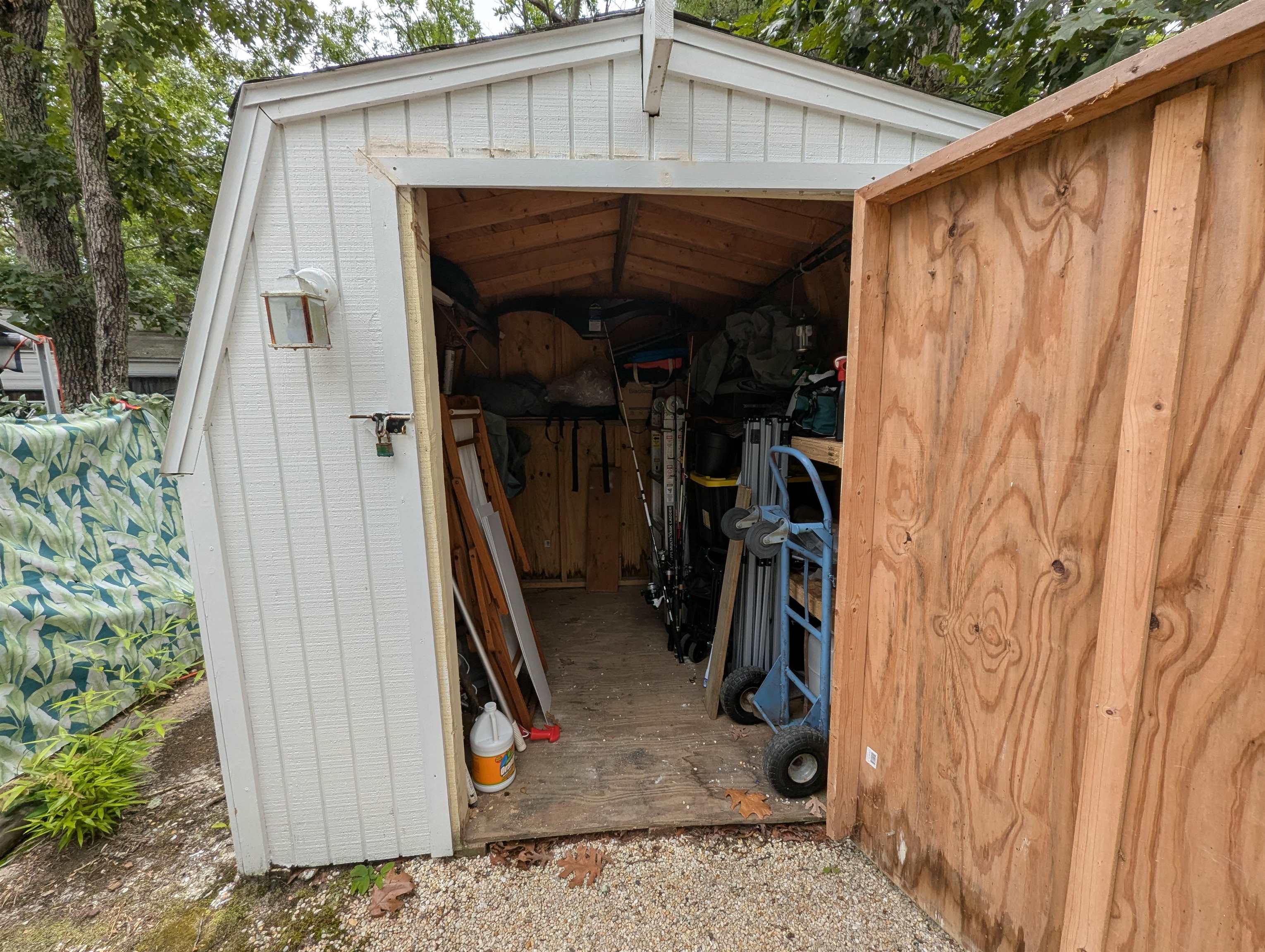 pic4