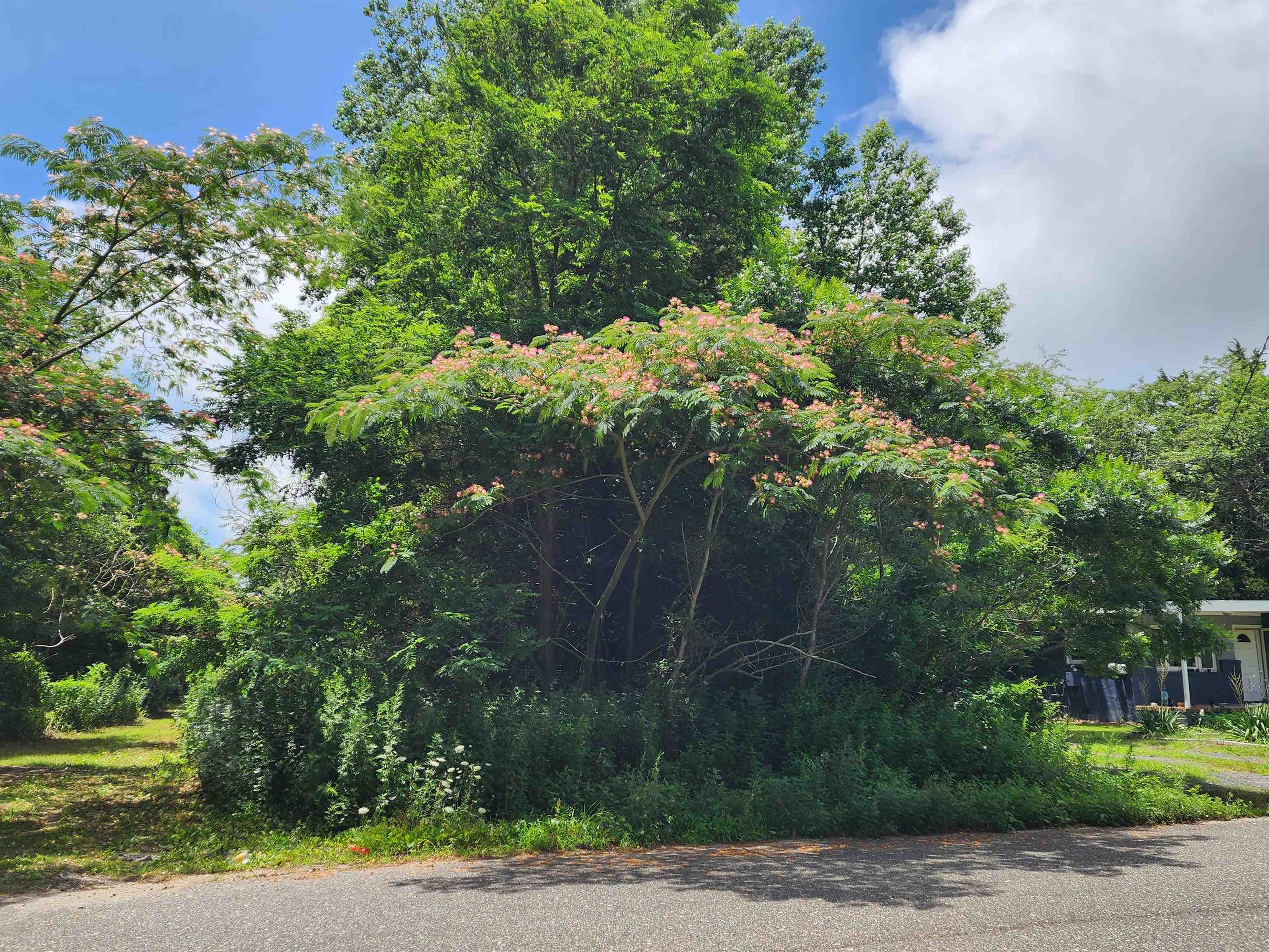 21 E Wiley Street - Whitesboro