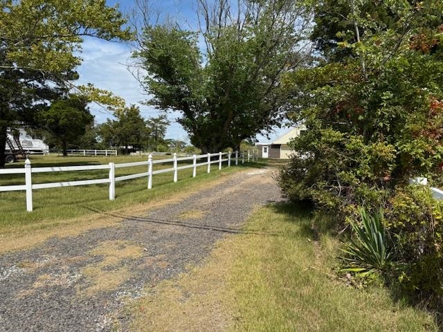 pic3