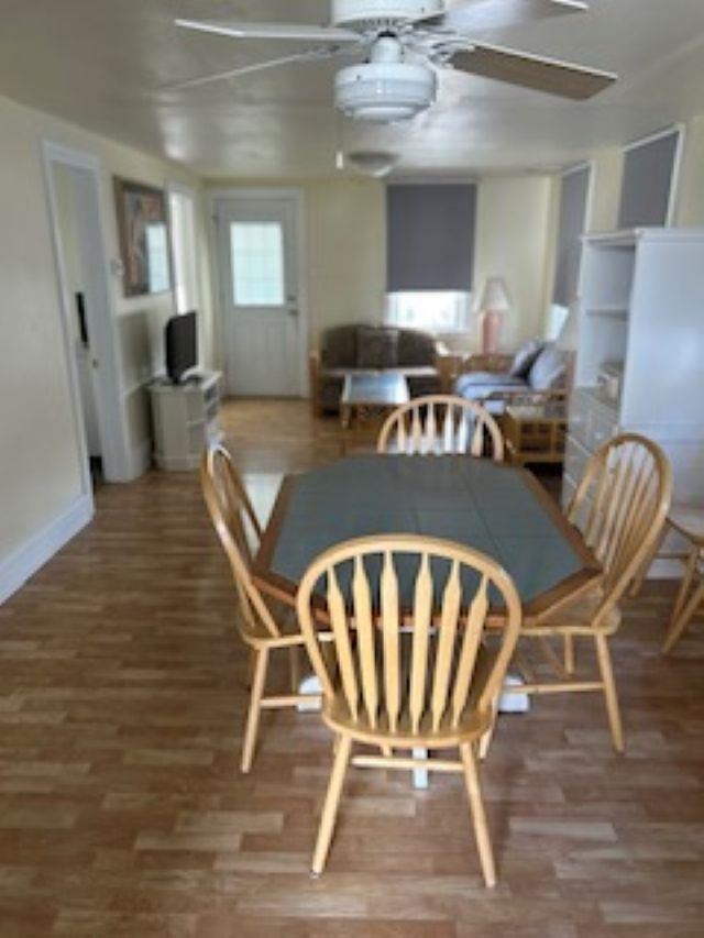  - Picture 6