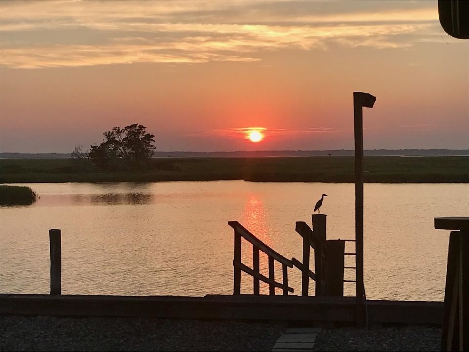pic2