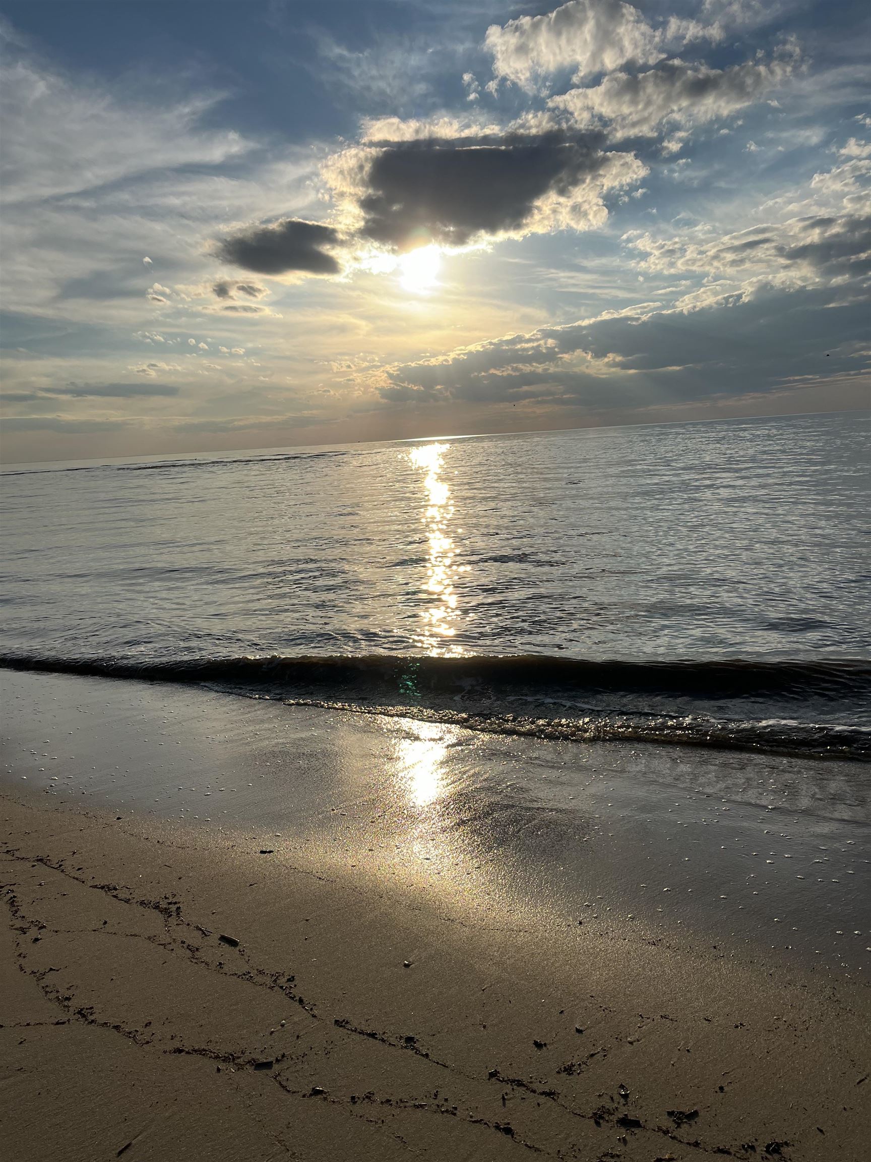 image 37