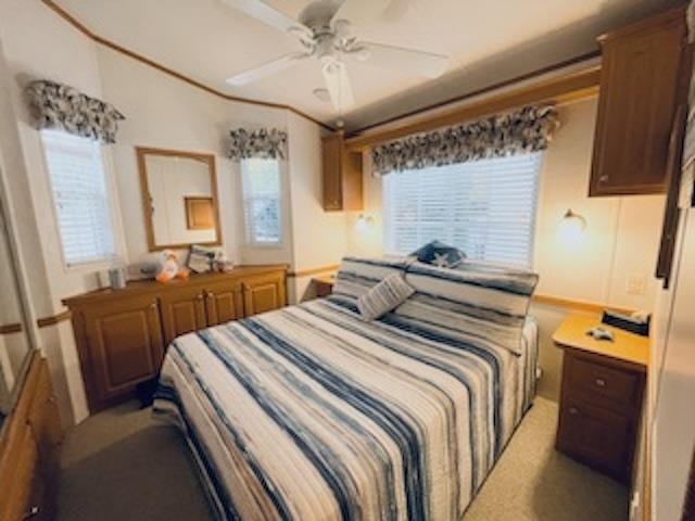4100 Route 9 S #6  - Picture 11