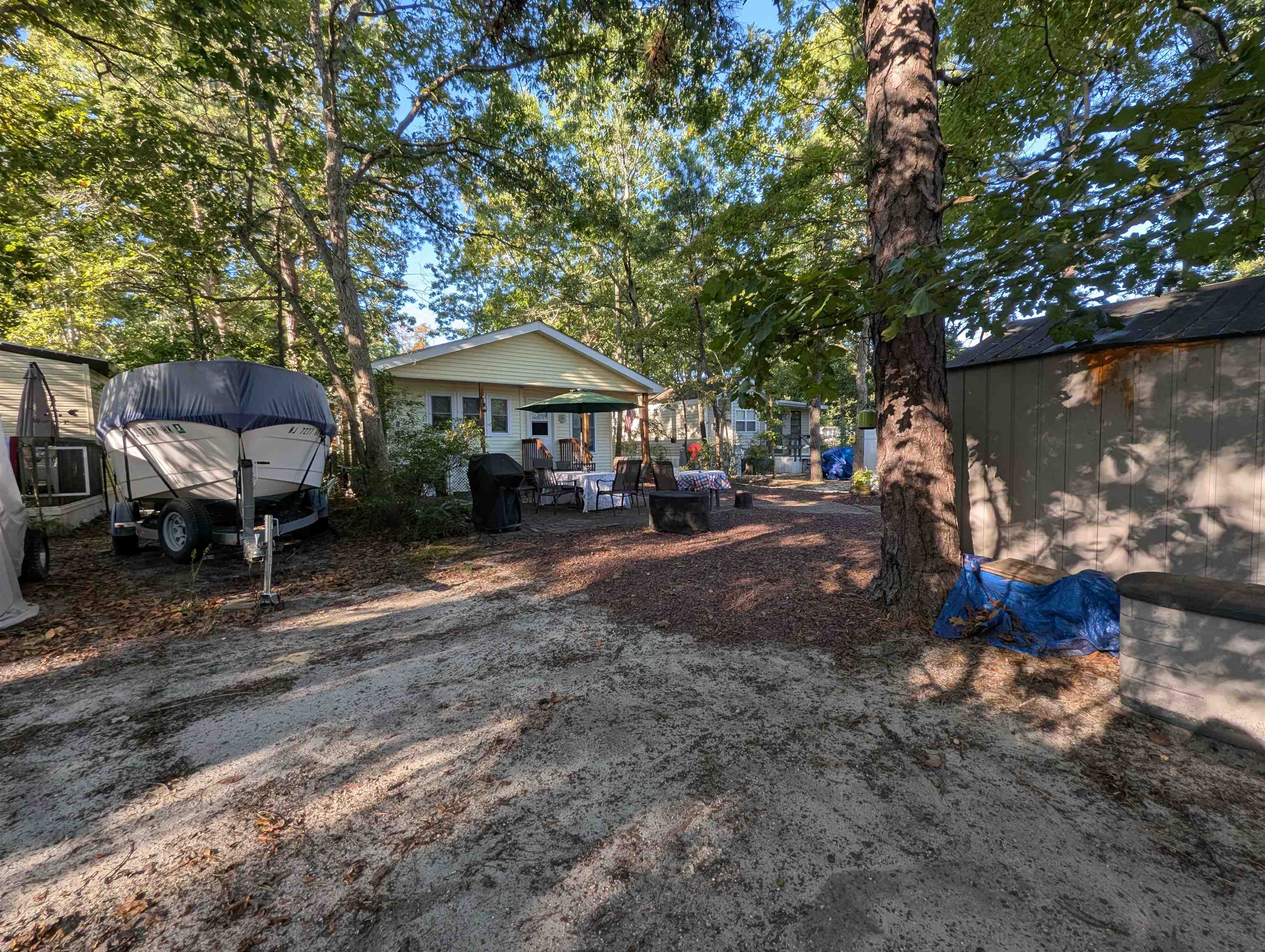pic4