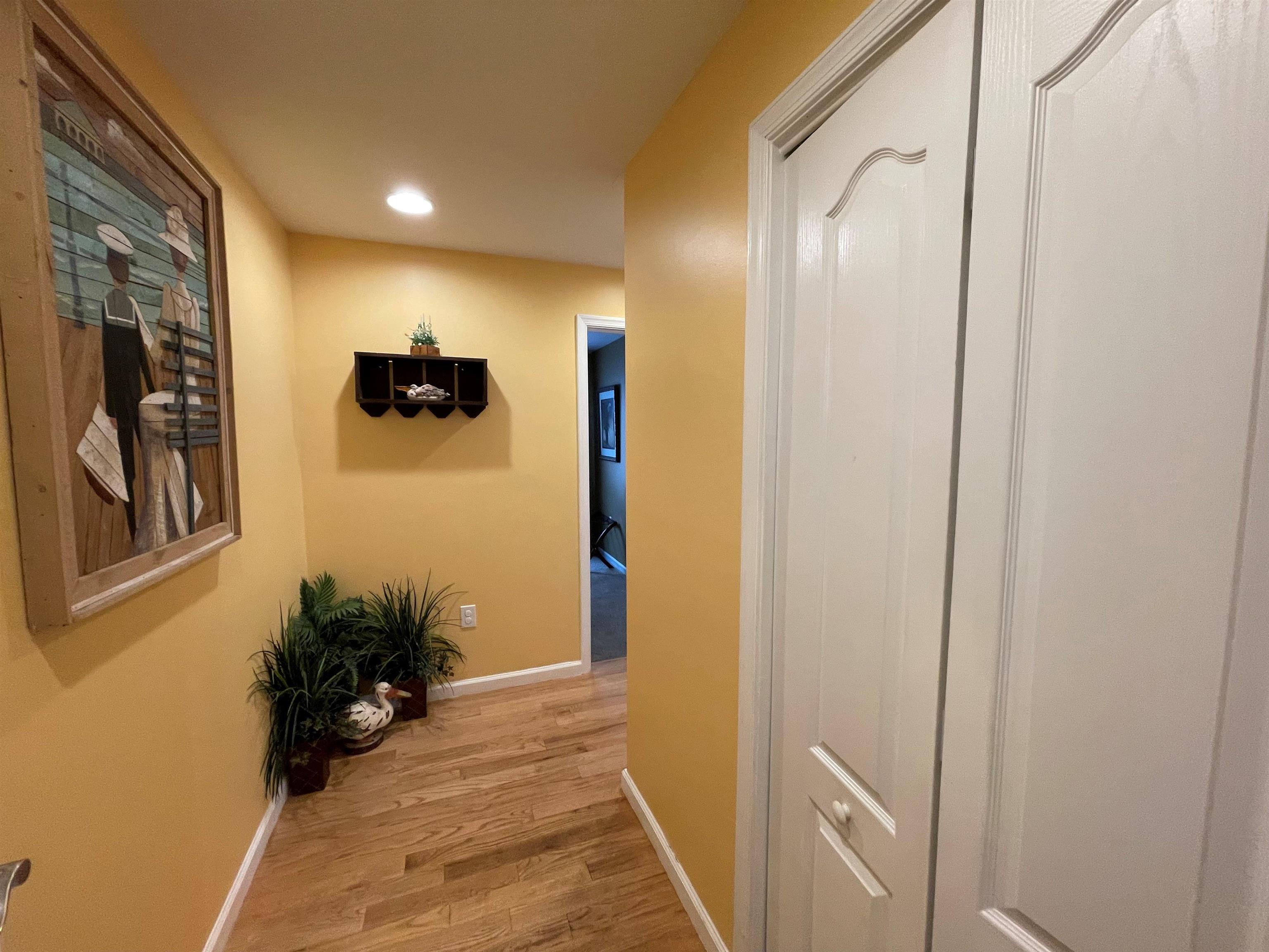 410 E Orchid Road
