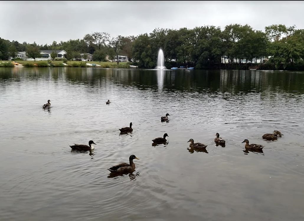 1402 S Route 9 - Picture 16