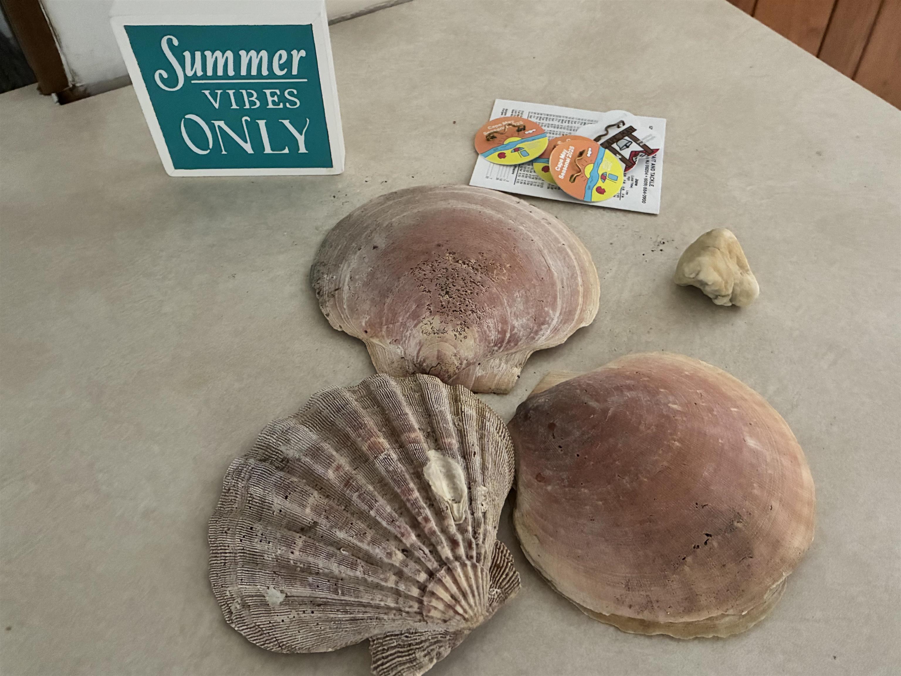 1122-1124 route 109 - Picture 49