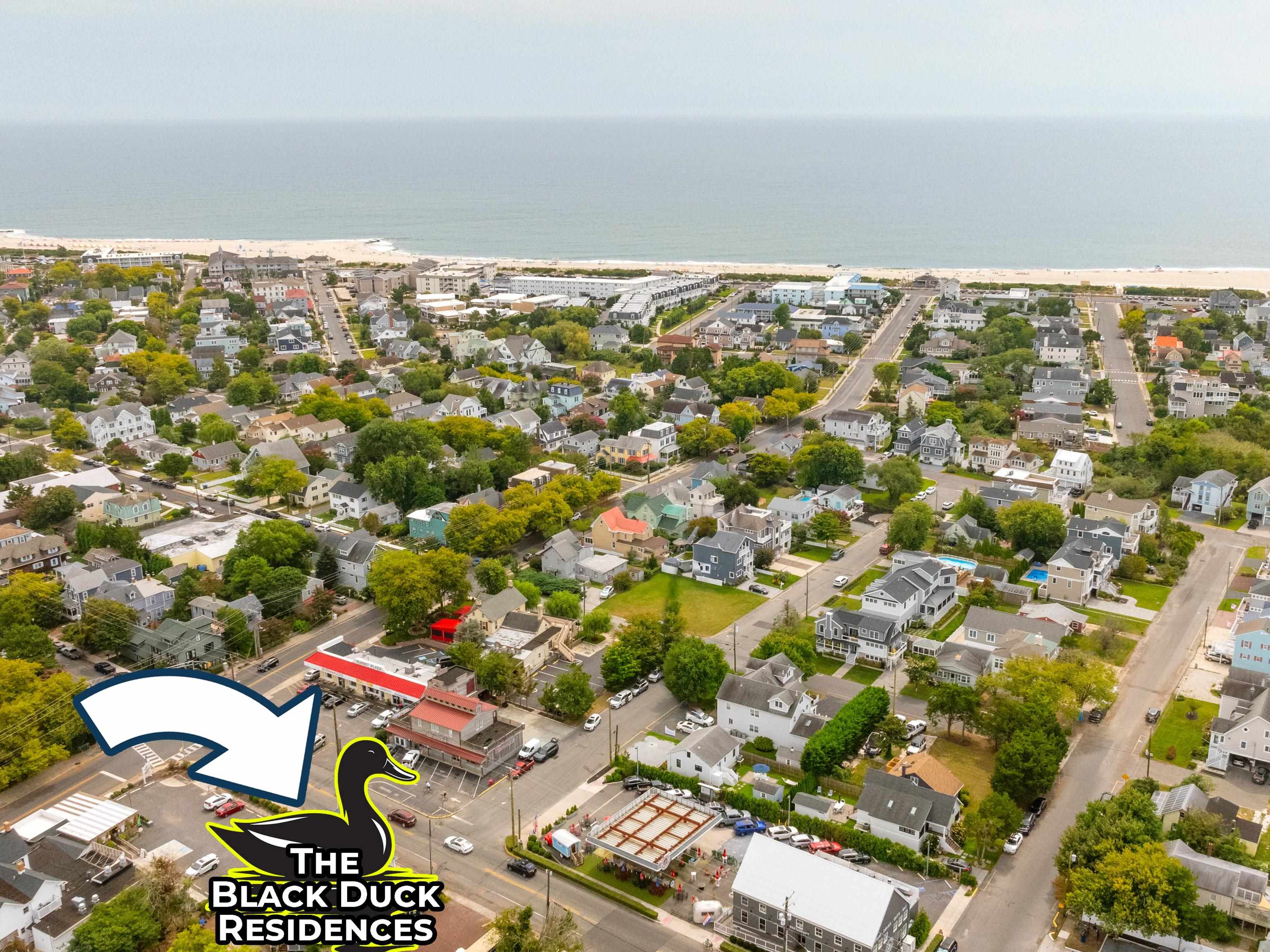 101 Sunset Boulevard