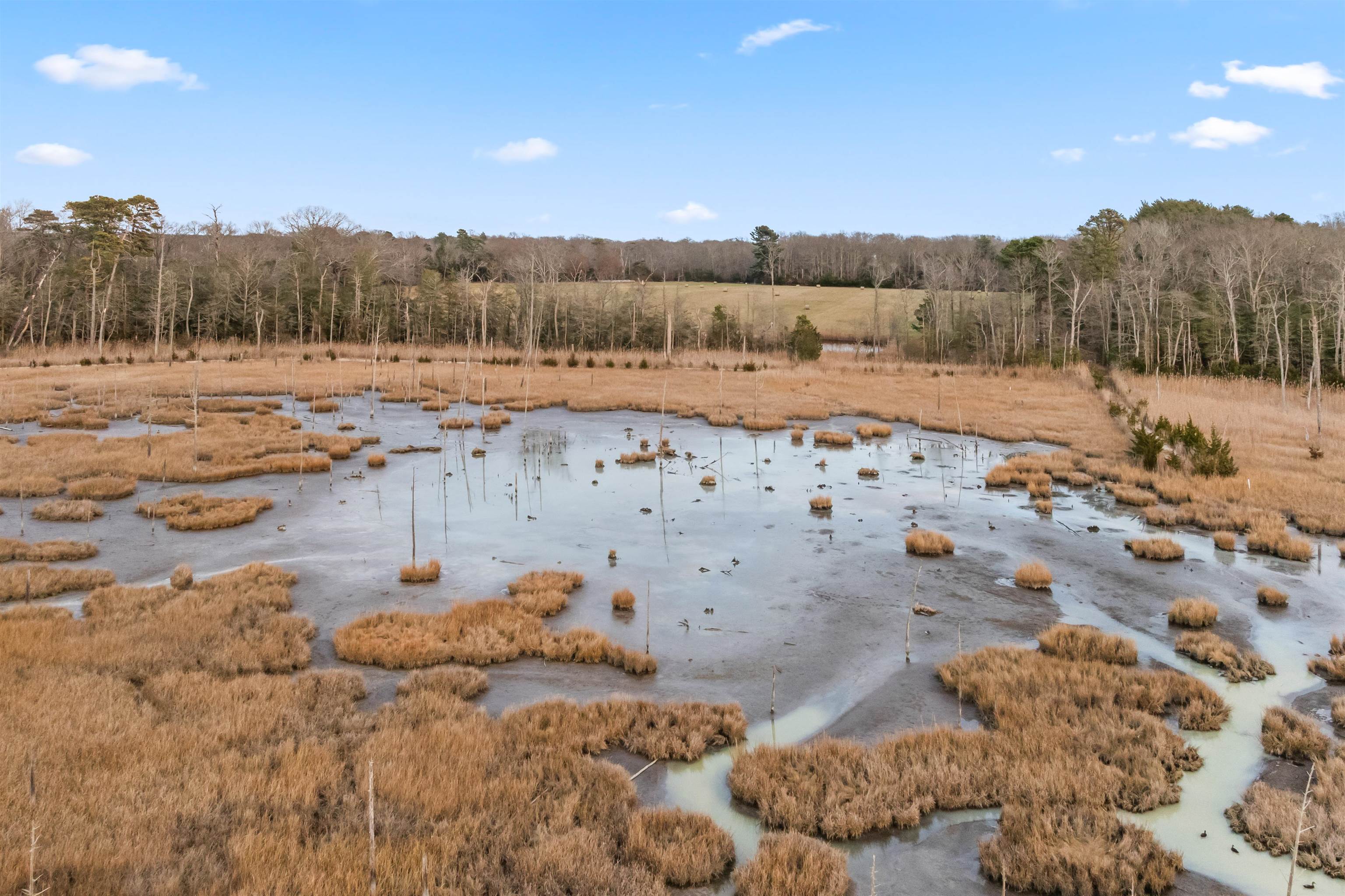 851 Route 47 - Picture 11