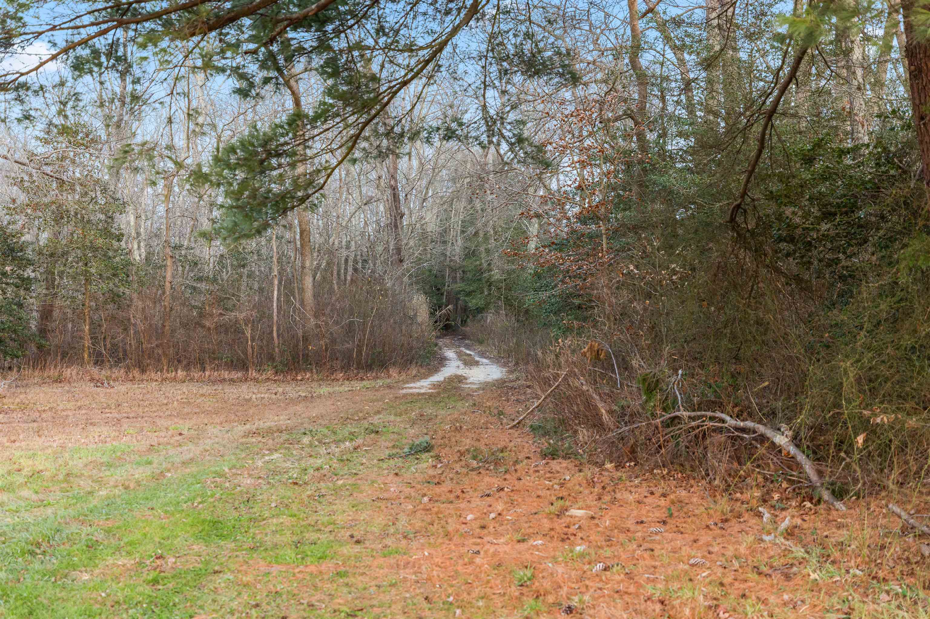 851 Route 47 - Picture 27