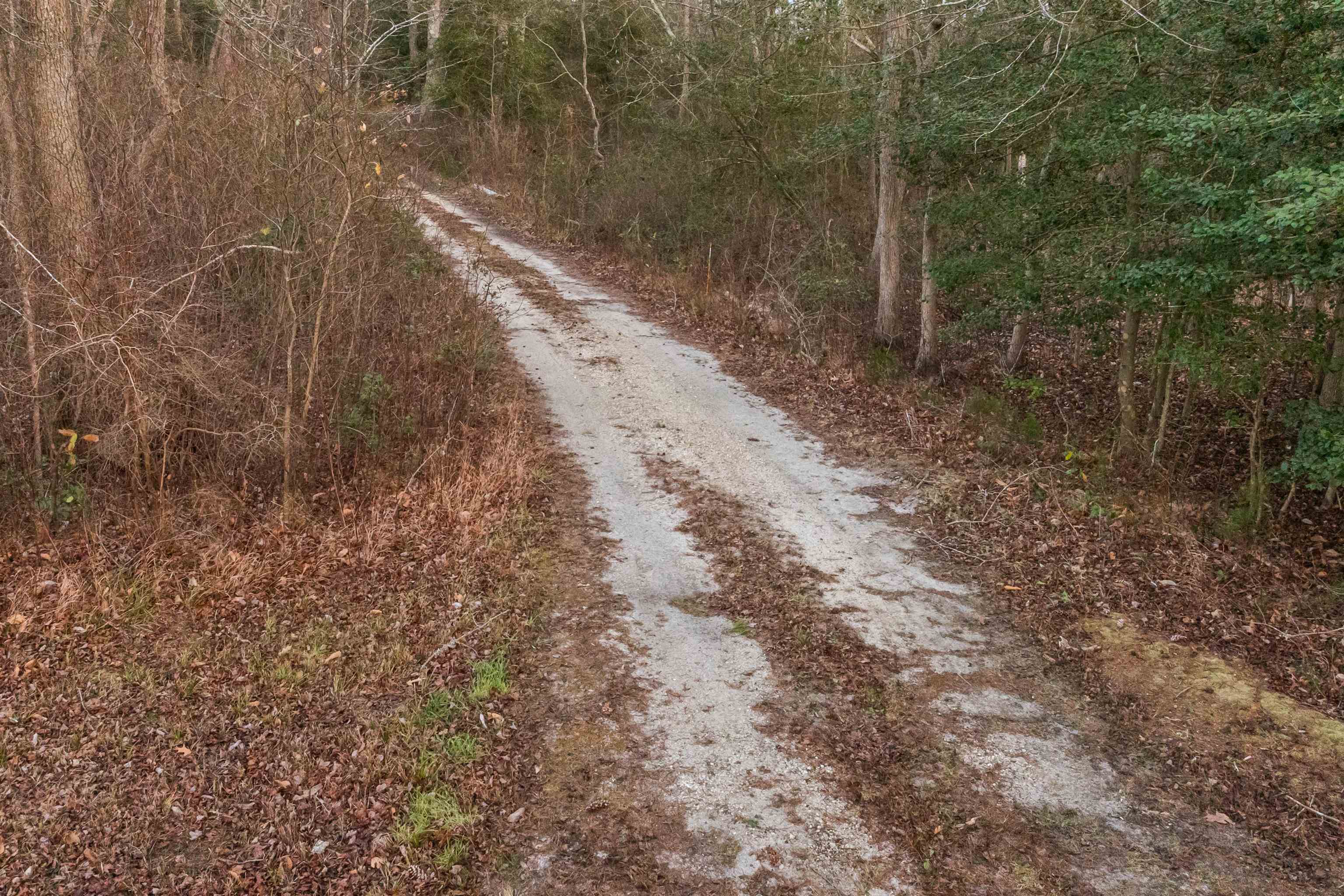 851 Route 47 - Picture 8