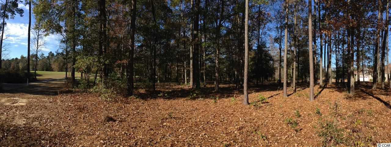 homes for sale in shaftesbury glen conway sc