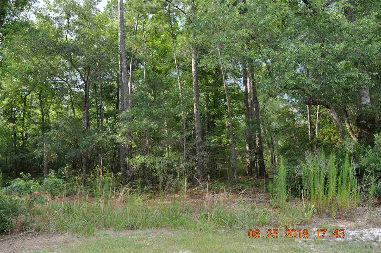 TBD Francis Marion Dr. Georgetown, SC 29440