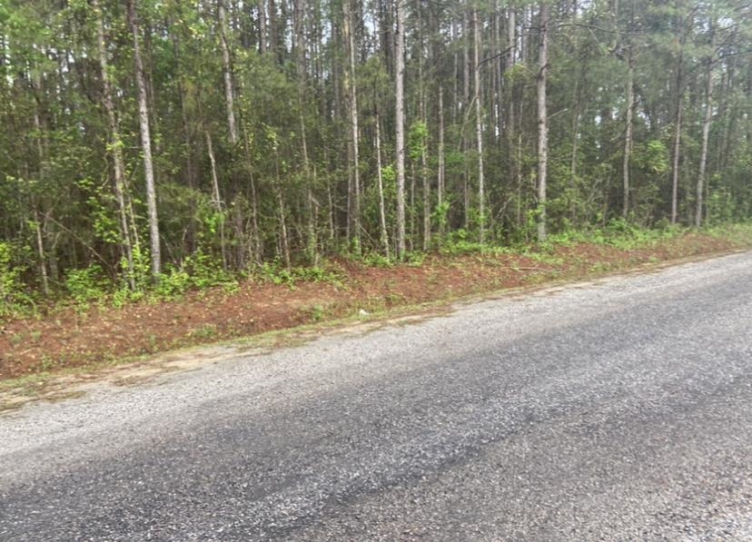 Tbd Allen Ln. Little River, SC 29566