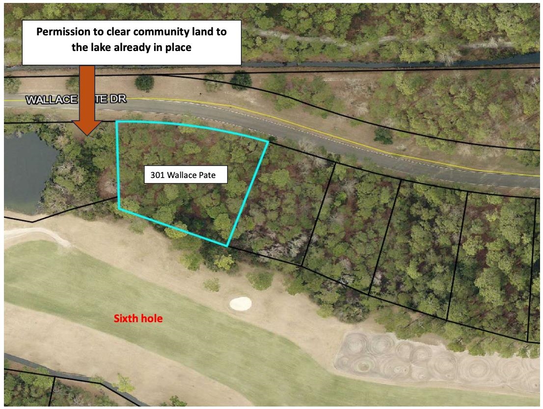 Lot 301 Wallace Pate Dr. Georgetown, SC 29440