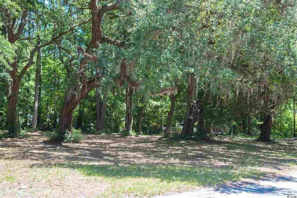 Tbd Mineola Ave. Little River, SC 29566