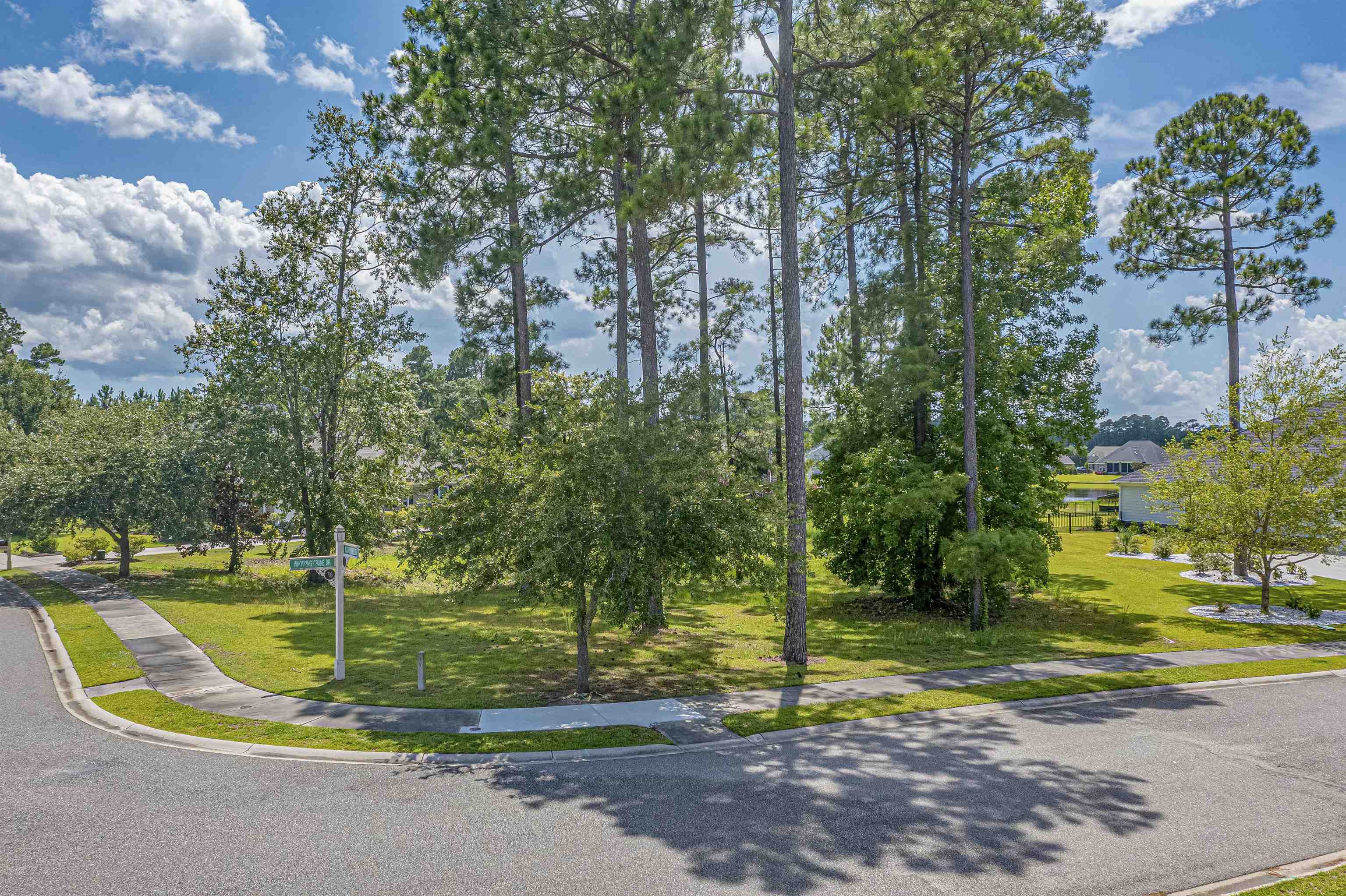 Wild Wing Plantation in Conway Land For Sale 90,000 MLS 2217039