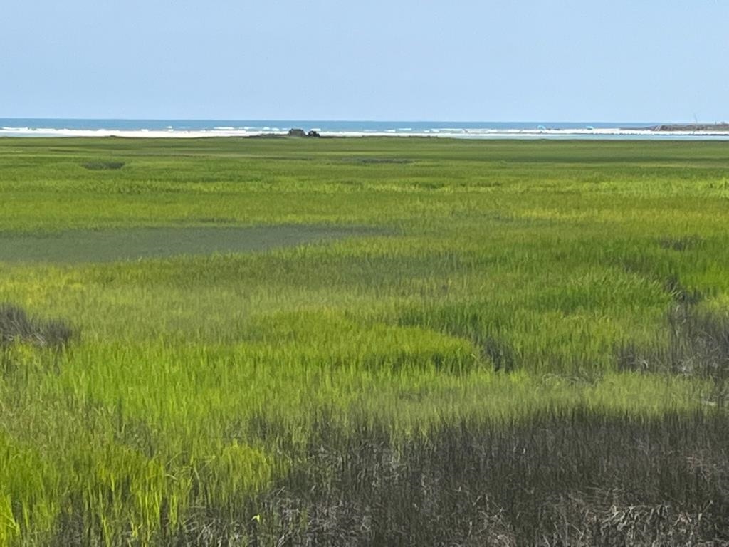 180 Brown Pelican Loop Pawleys Island, SC 29585