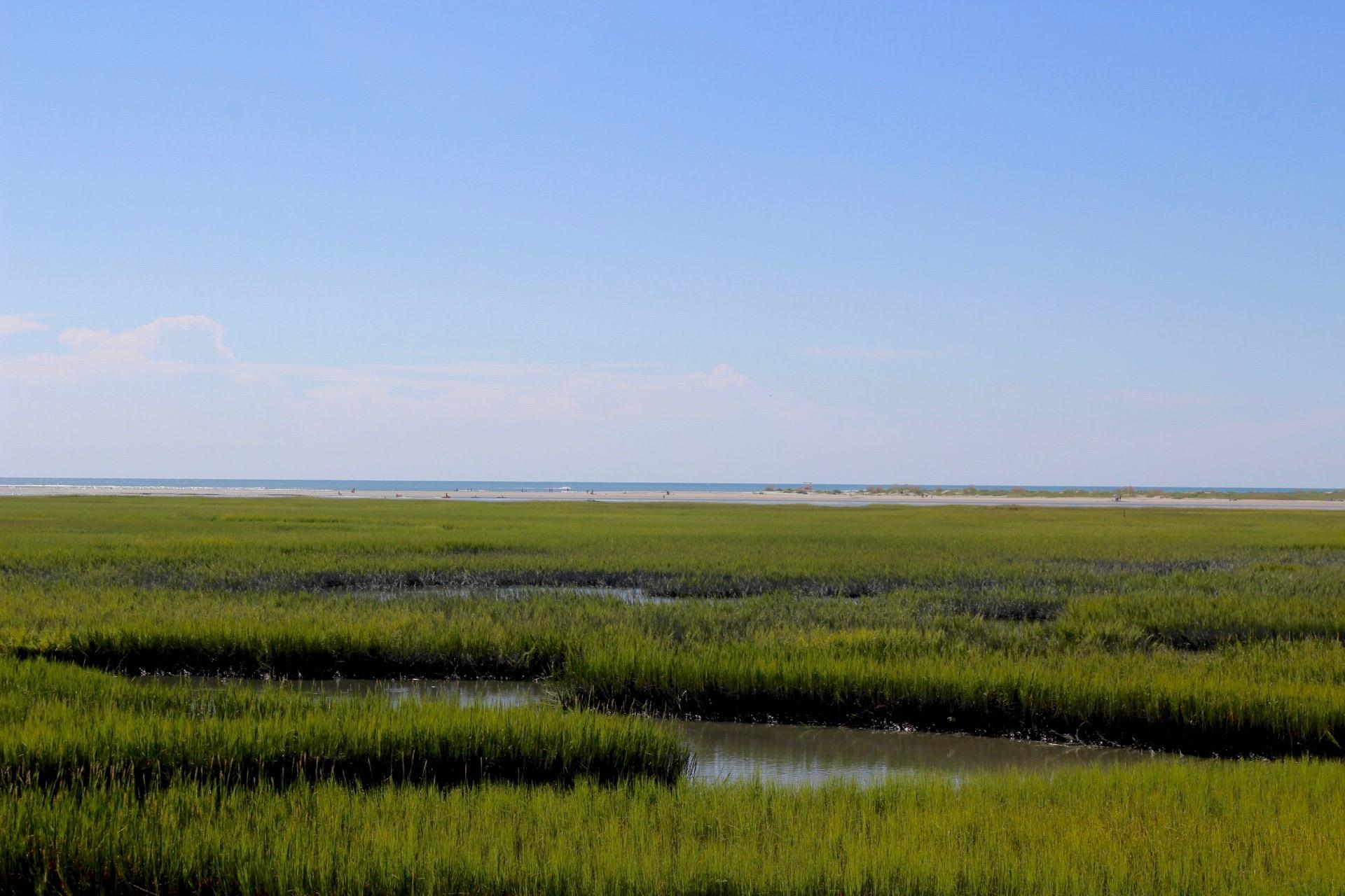Lot 1 Jacks Circle Rd. North Myrtle Beach, SC 29582